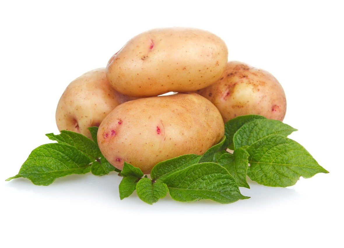 Картофель коллета описание. Картофель Синеглазка, 1 кг. Картофель на белом фоне. Картошка для детей.