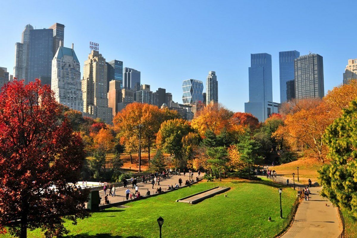 Парки в америке в городе. Централ парк Нью-Йорк. Осенний Нью-Йорк централ парк. Гайден парк Нью-Йорк. Нью-Йорк Манхэттен Центральный парк.