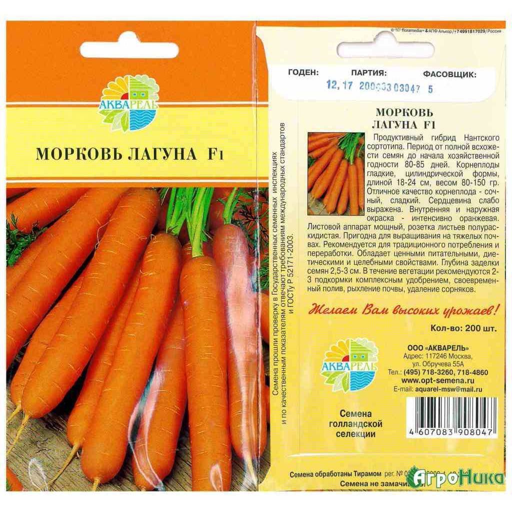 Какая морковь сладкая. Сорт моркови Лагуна f1. Морковь Лагуна f1 описание. Морковка сорт Лагуна f1. Морковь маэстро f1 Вилморин.