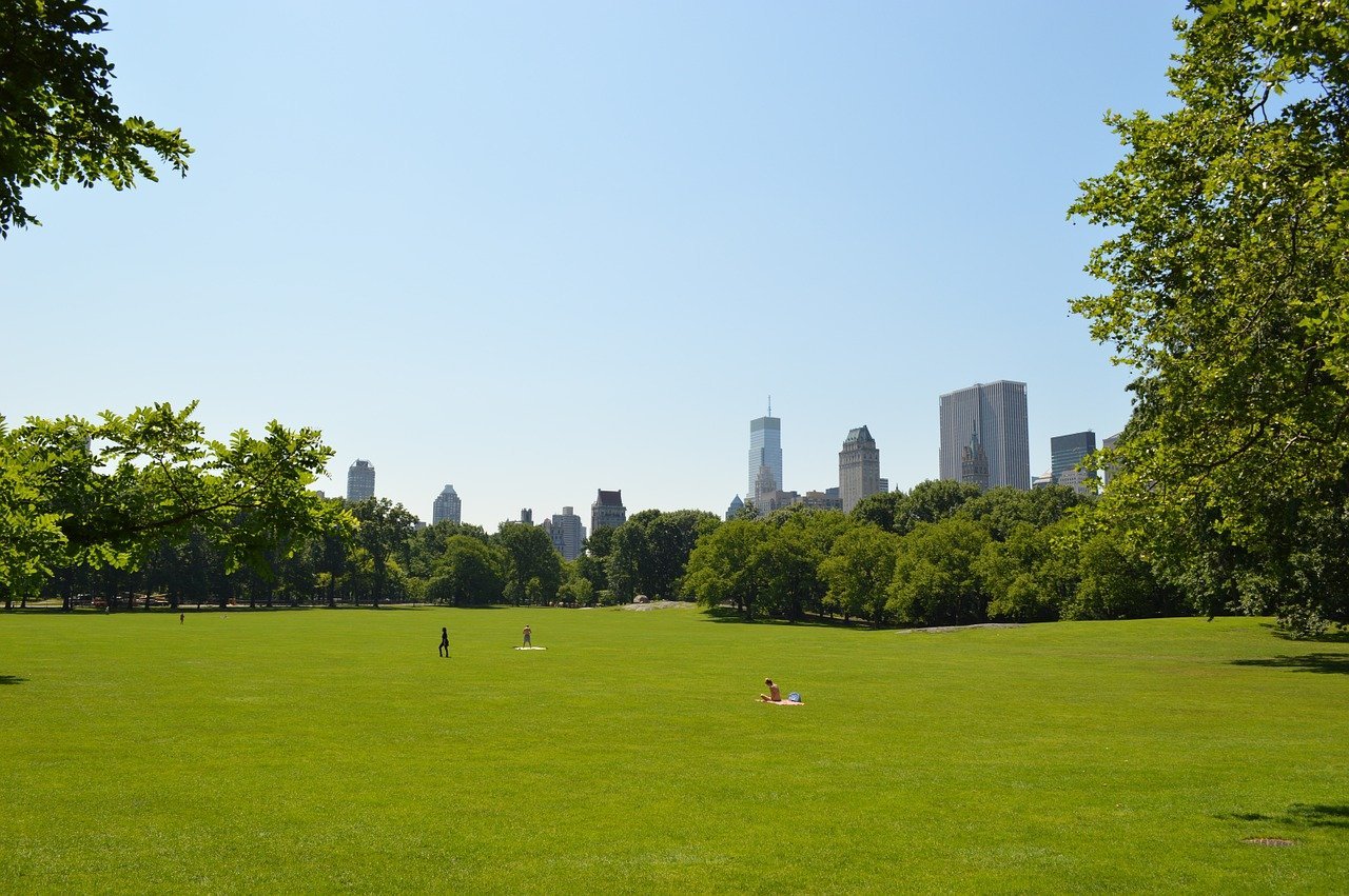 York lot. Централ парк Нью-Йорка газон. Большая лужайка в Центральном парке в Нью-Йорке. Центральный парк Нью-Йорка фото. Нью Йорк парк Хиллс.