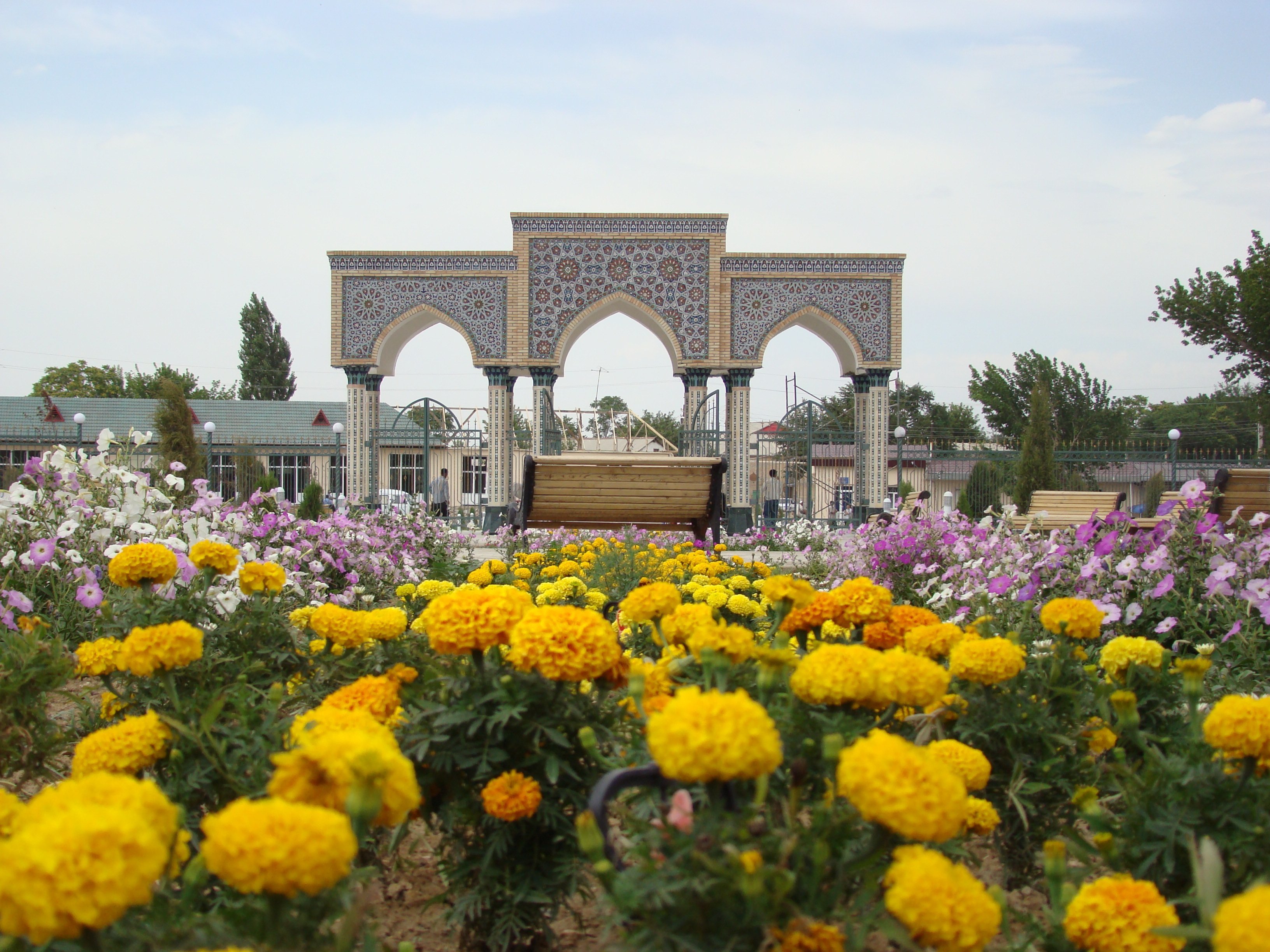 Цветущий ташкент. Узбекистан Самарканд Нурота. Самарканд Узбекистан природа. Узбекистан Самарканд весной.
