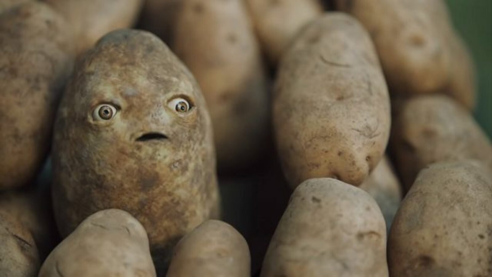 Куча картошки. Куча картофеля. Женщина картошка. Необычный картофель.