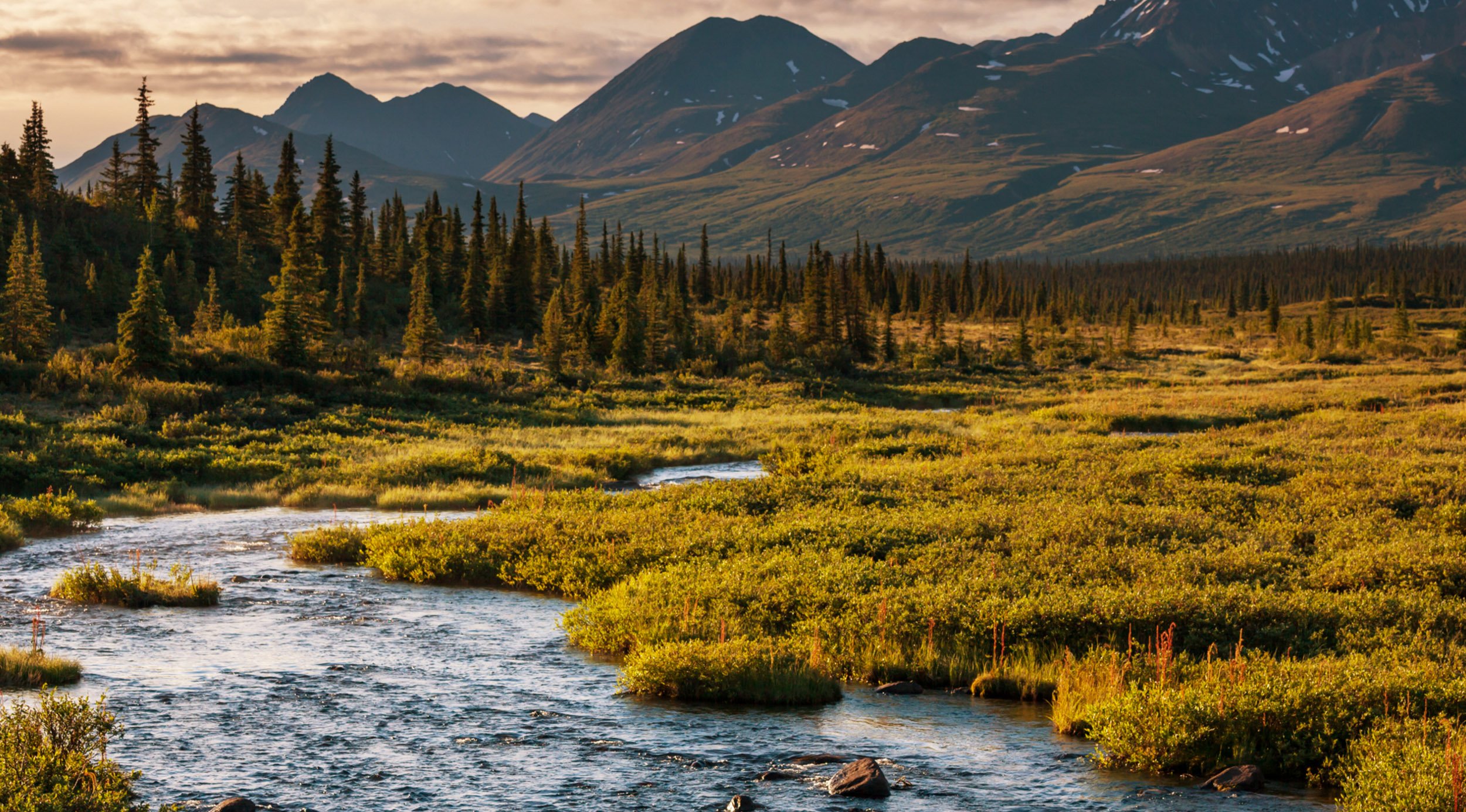 Аляска натуральная