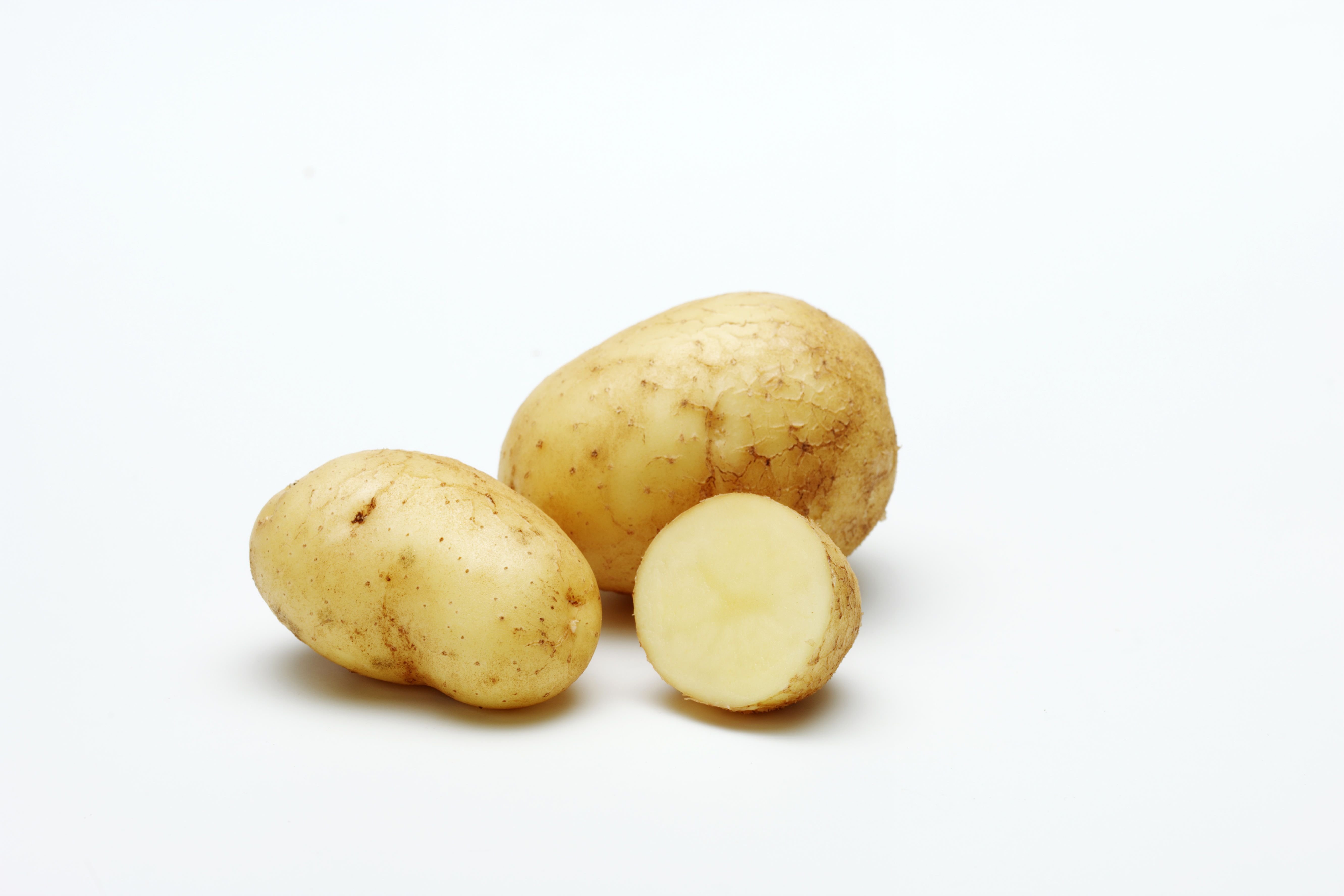 Poisonous potato update. Картофель семенной голубизна. Клубень картофеля. Глазки картофеля. Картофельный клубень.