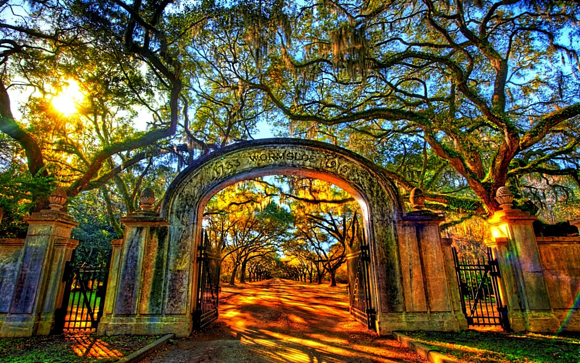 В парке старинном деревья. Штат Джорджия природа. Ворота Джорджия. Плантация дубовая аллея Луизиана. Старр парк в США.