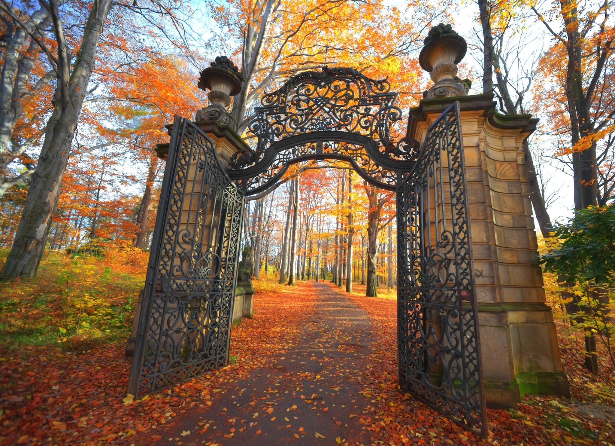 Гуляют ворота. Парк летний сад в Санкт-Петербурге. Входная арка в парк Готика. Ворота в парк. Ворота в осенний парк.