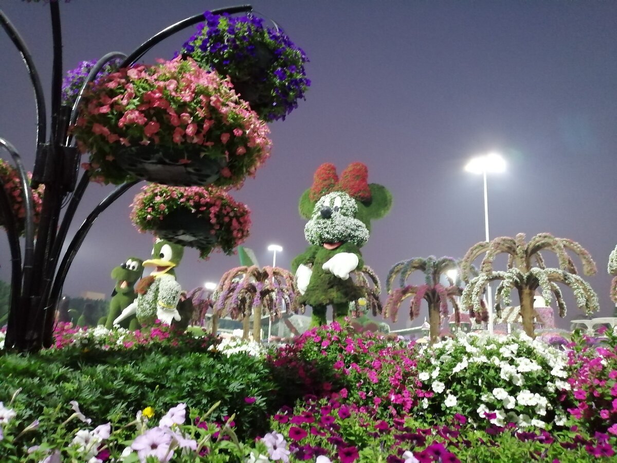 Дубайский парк. Miracle Garden Дубай. Гарден парк Дубай. Мираж Гарден Дубай. Миракл Гарден парк цветов Дубай.