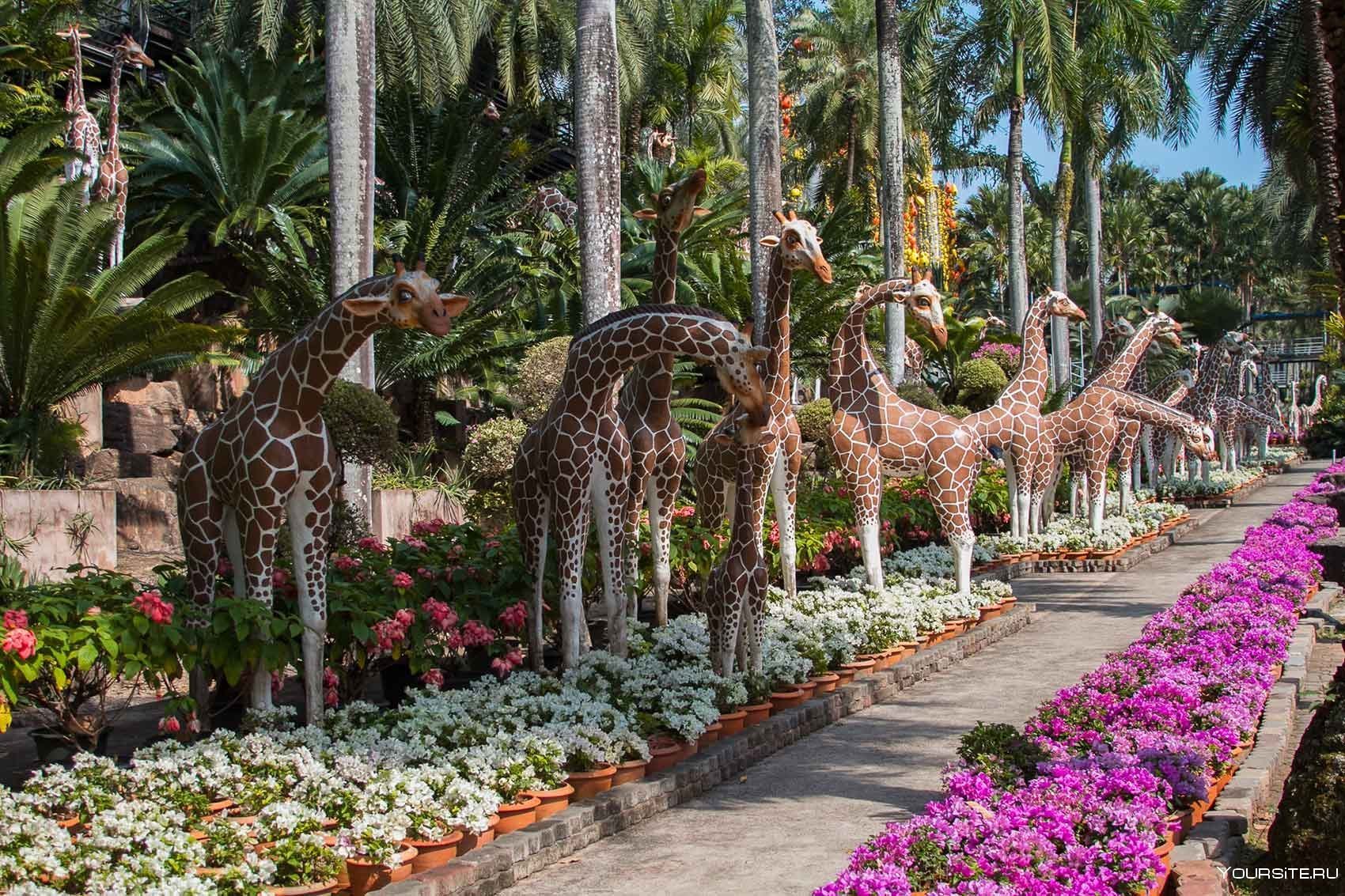 Ботанический сад Нонг Нуч. Сад Нонг Нуч (Таиланд). Парк мадам Нонг Нуч Паттайя. Ботанический сад Нонг Нуч в Паттайе.