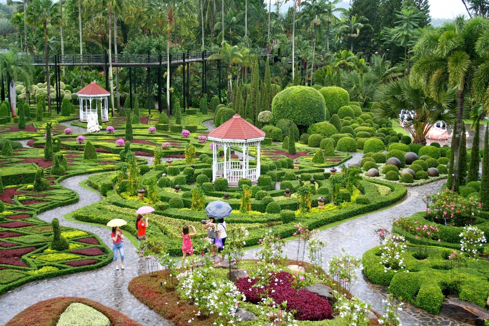 Нонг Нуч. Сад Нонг Нуч (Таиланд). Ботанический сад Таиланд Нонг. Тропический парк Нонг Нуч Таиланд сад орхидей.