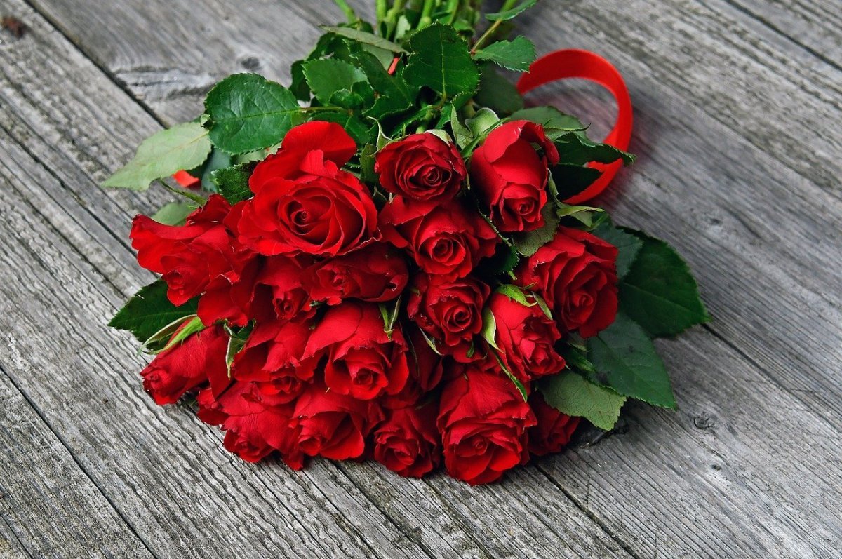 В букете было красных роз. Букет алых роз. Букет красных роз. Buket krasnix roz. Шикарный букет красных роз.