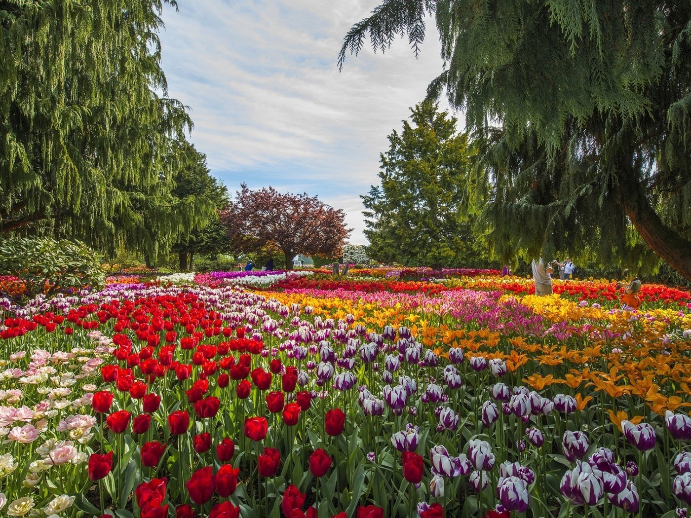 Парк какой прекрасный. Парк цветник аллея. Парк Багатель розарий. Парк с цветами. Красивый парк с цветами.
