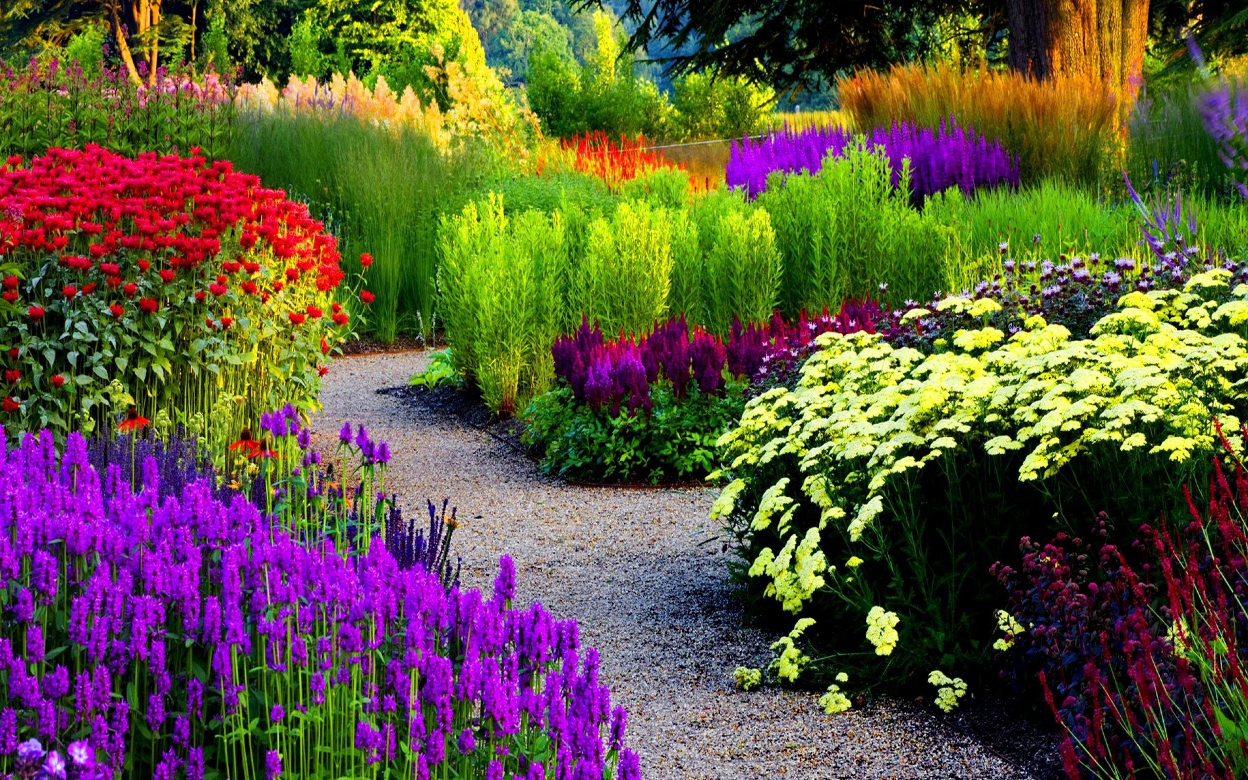 Цветной парк. Сад Кавати Фудзи. Цветы в саду. Декоративные растения для сада. Сад с цветами.
