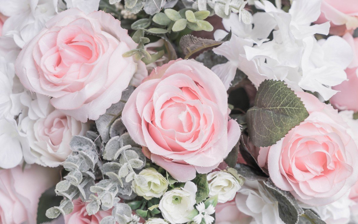 Бело розовые цветы. Пастельные цветы. Нежные розовые розы.
