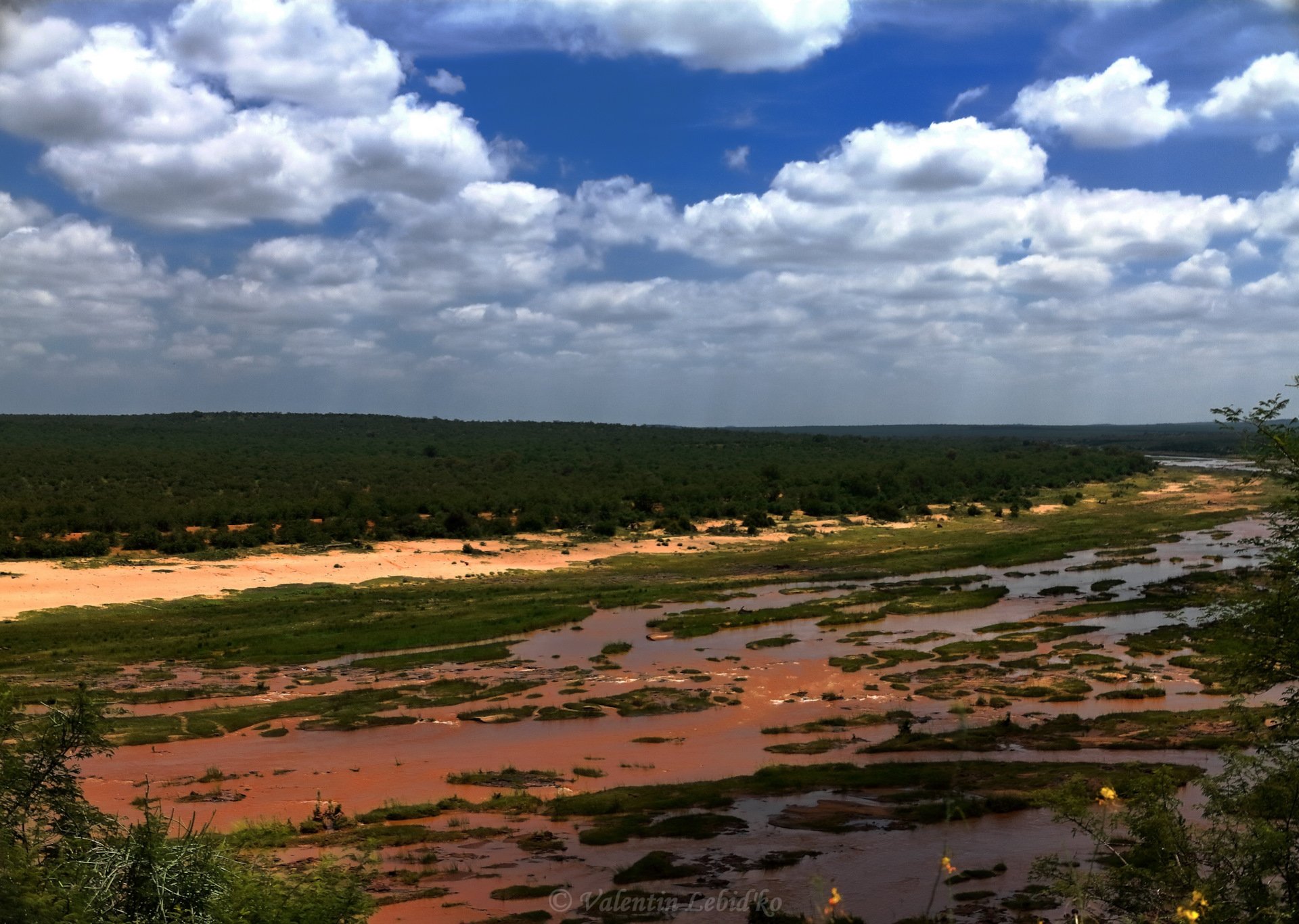 Национальный парк Крюгера река Лимпопо. Национальный парк Лимпопо Мозамбик. Крюгер парк ЮАР. Река Лимпопо ЮАР.