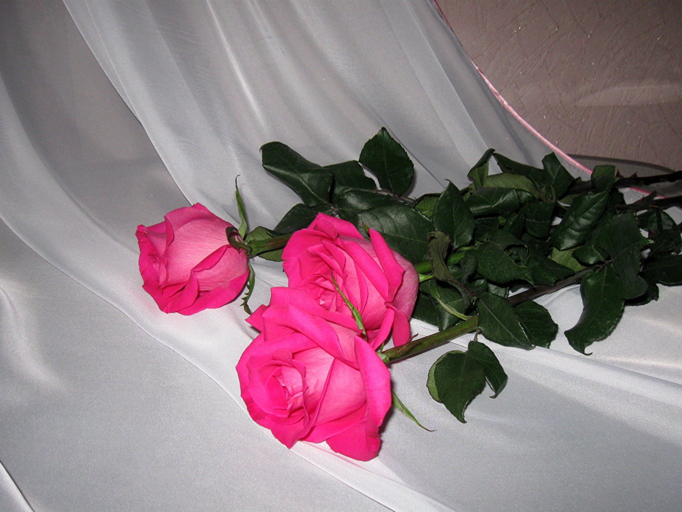 Дом розочка. Букет цветов на кровати. Букет роз дома. Букет роз на кровати. Букет цветов в домашней обстановке.