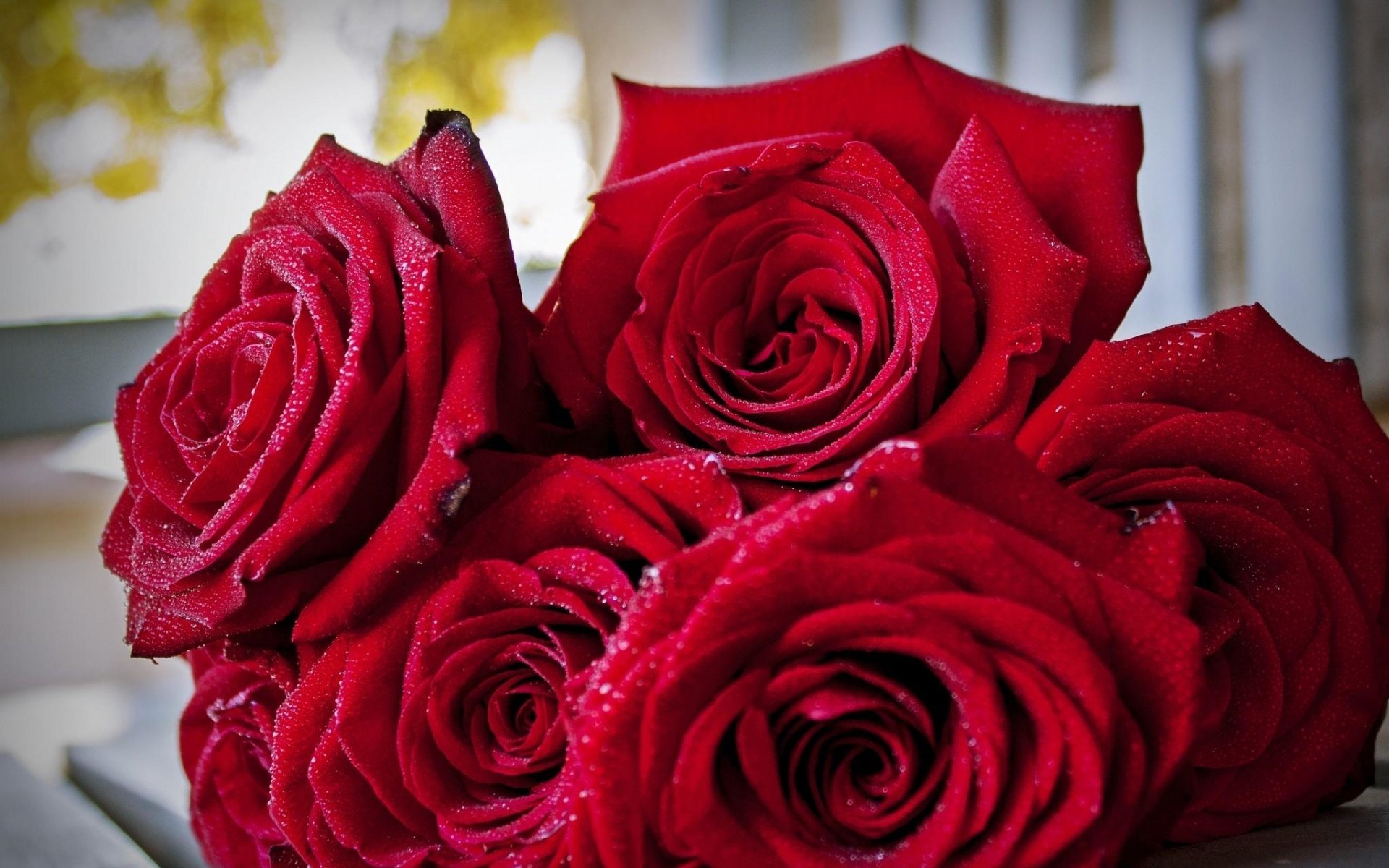 Gullar rasmi atirgul. Красивые розы. Красивые красные розы. Букет красных роз.
