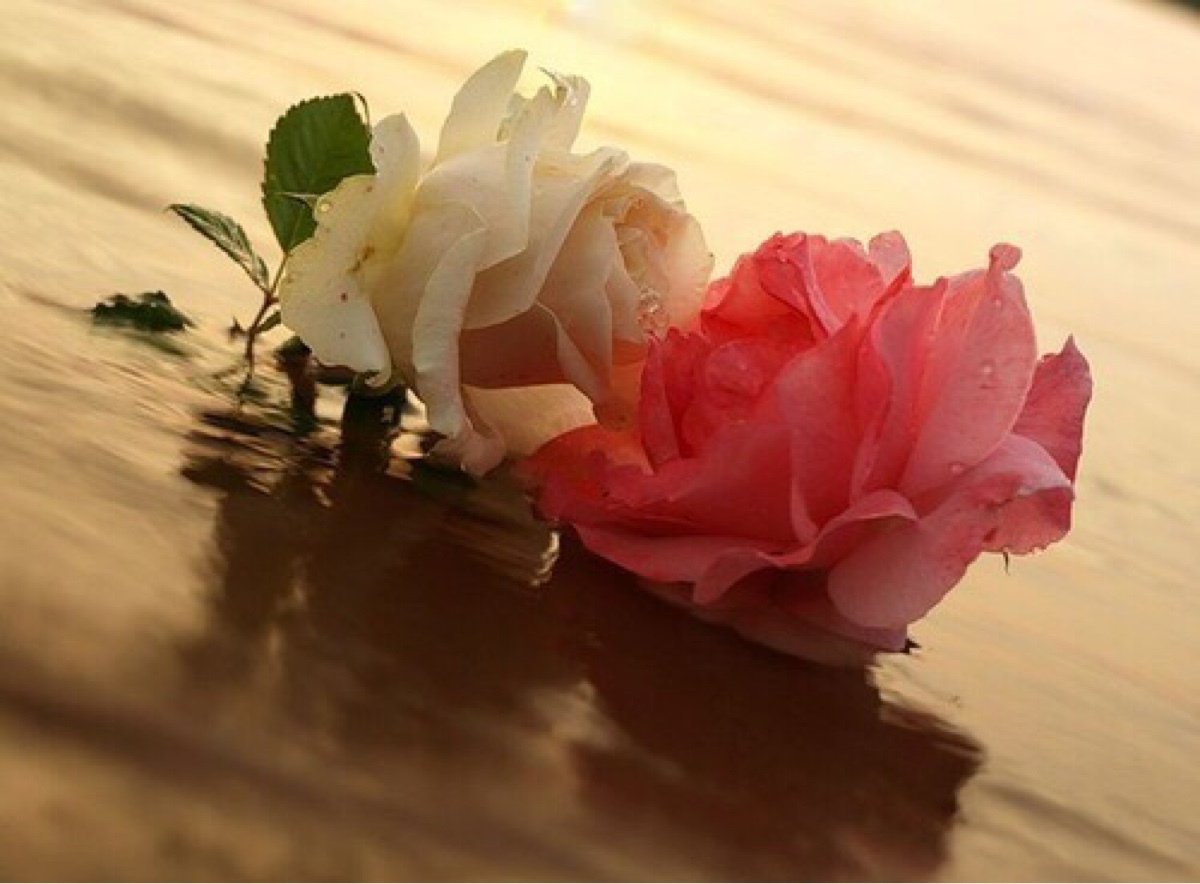 Просто будь поздравление. Цветы любовь нежность. Цветы на счастье. Трогательные цветы. "Цветы любви".