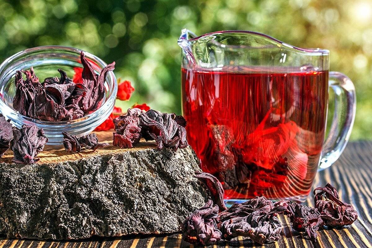 Каркаде польза и вред для здоровья. Чай "каркаде". Каркаде (гибискус). Гибискус чай каркаде. Красный чай каркаде.