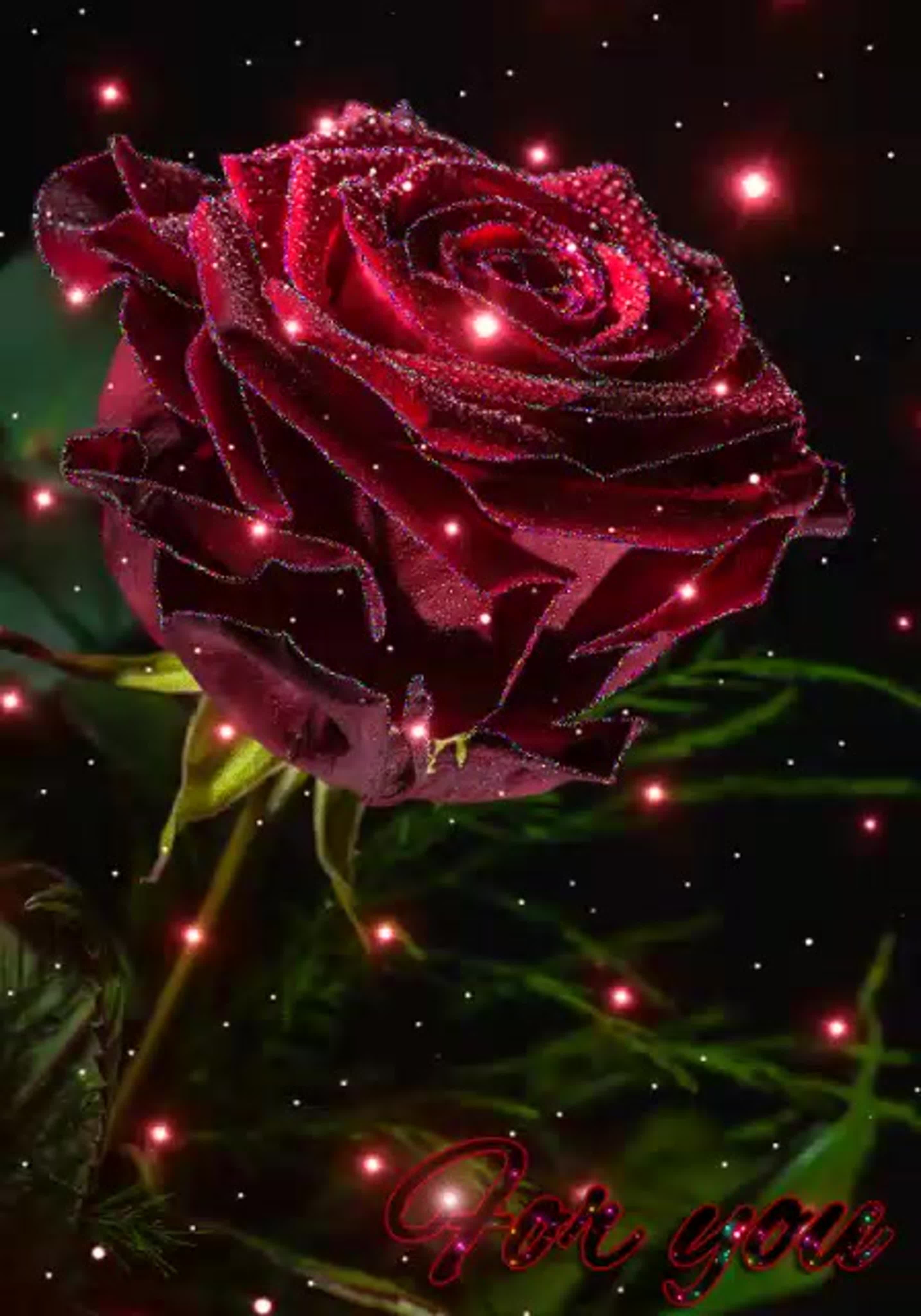 Красивая розы гиф. Красивые блестящие цветы. Красивые розы. Цветы с блестками. Красивые сверкающие букеты.