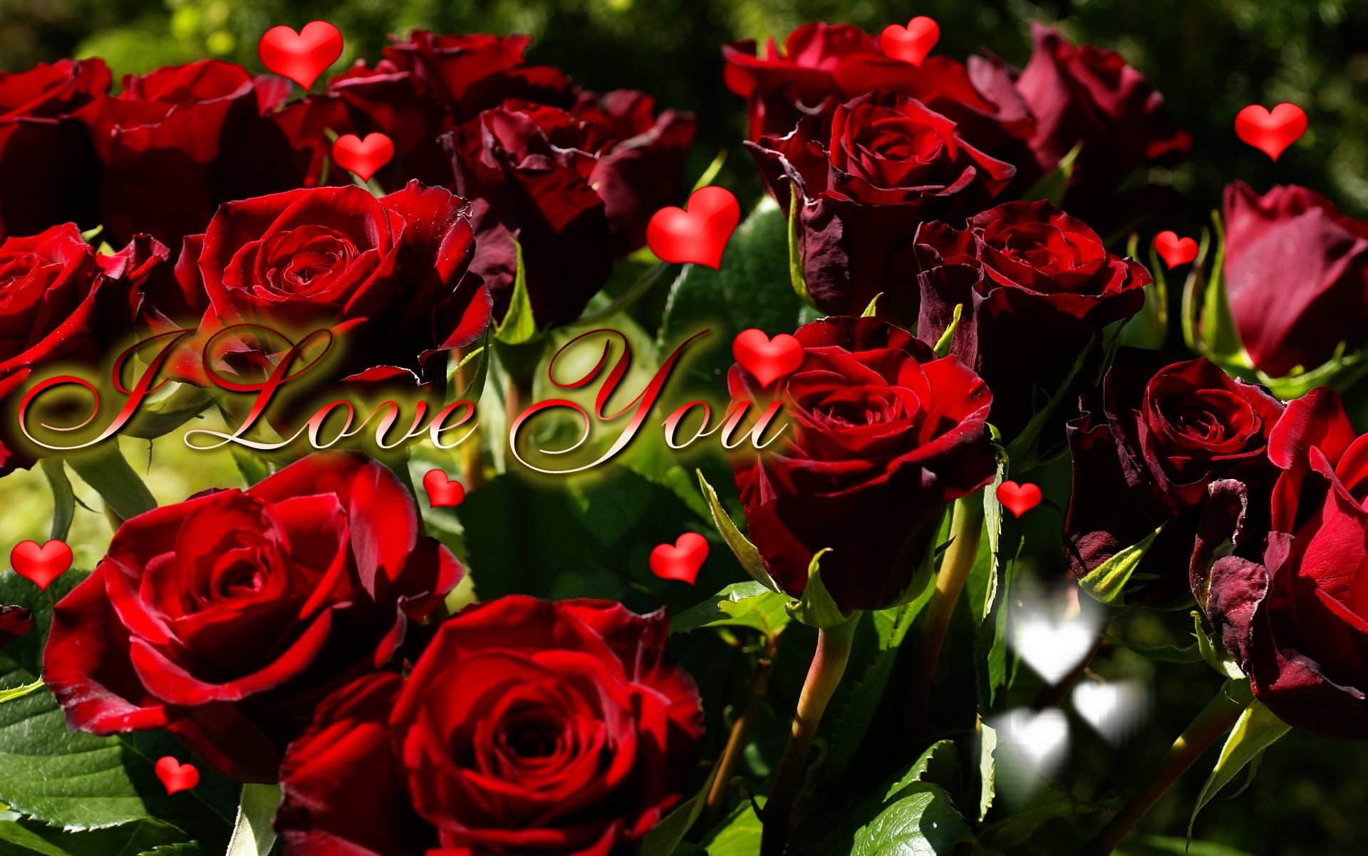 Открытки розы любимым