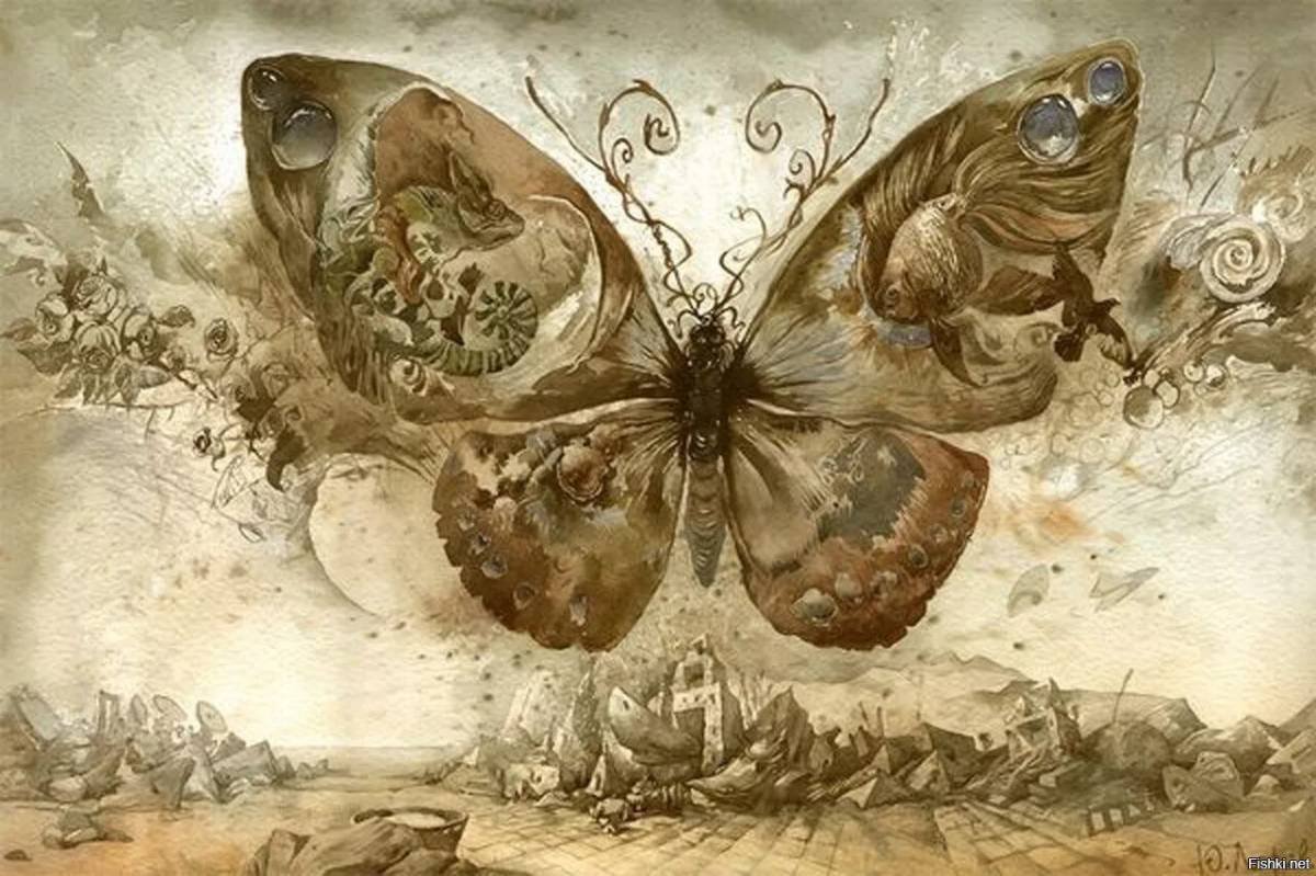 Картина бабочки.