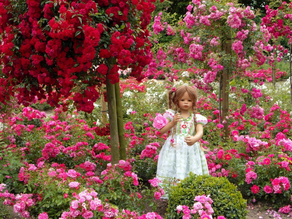 Розовый сад Баден-Баден Германия. Гюлистан-сад роз. Сад с цветами. Твой сад розы