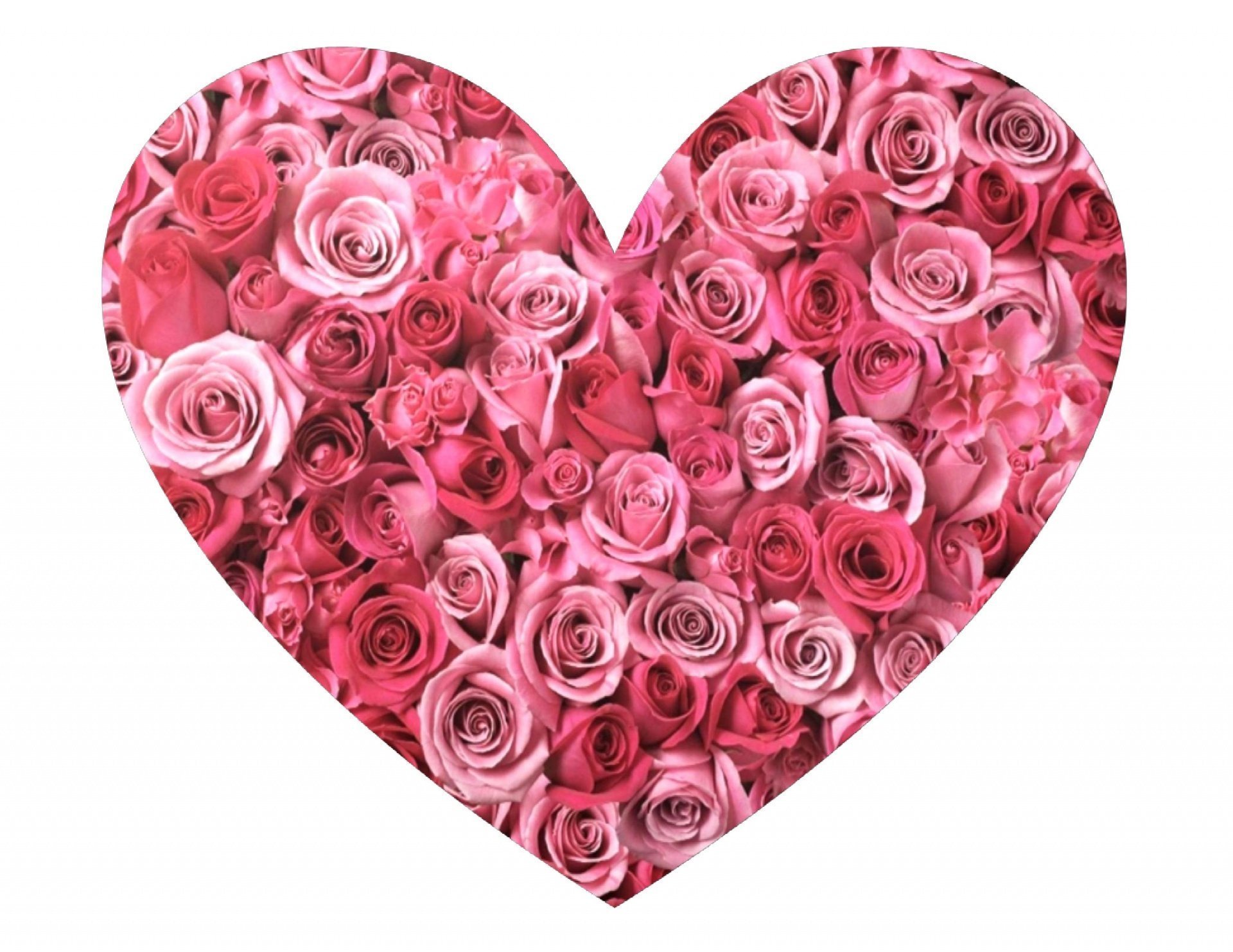 Розовое сердце. Цветы в форме сердца. Сердце из цветов. Розовые сердечки. Сердечки красные розовые