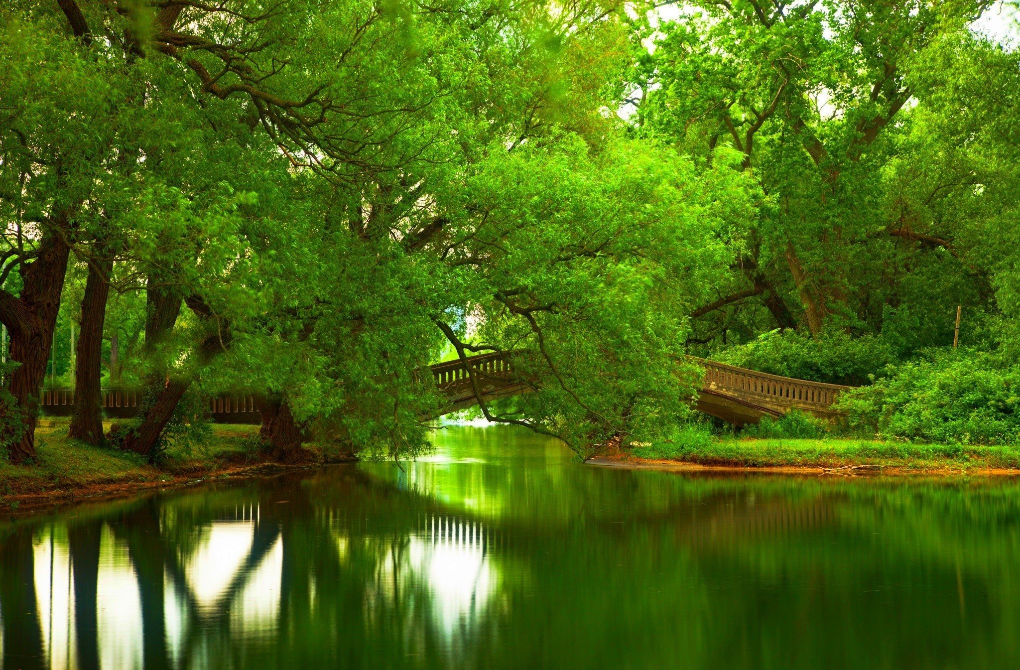 Природа. Красивый пруд. Красивая природа на рабочий стол. Деревья у пруда. Сады реки озера