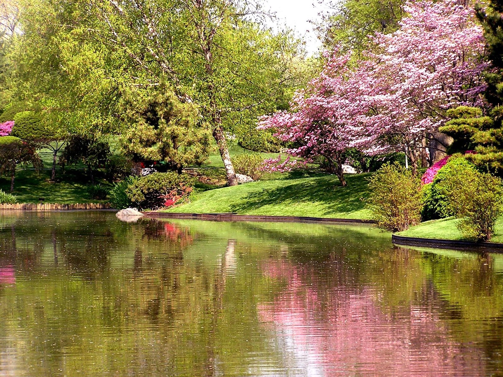 Сады реки озера. Красивые весенние пейзажи. Природа весной.