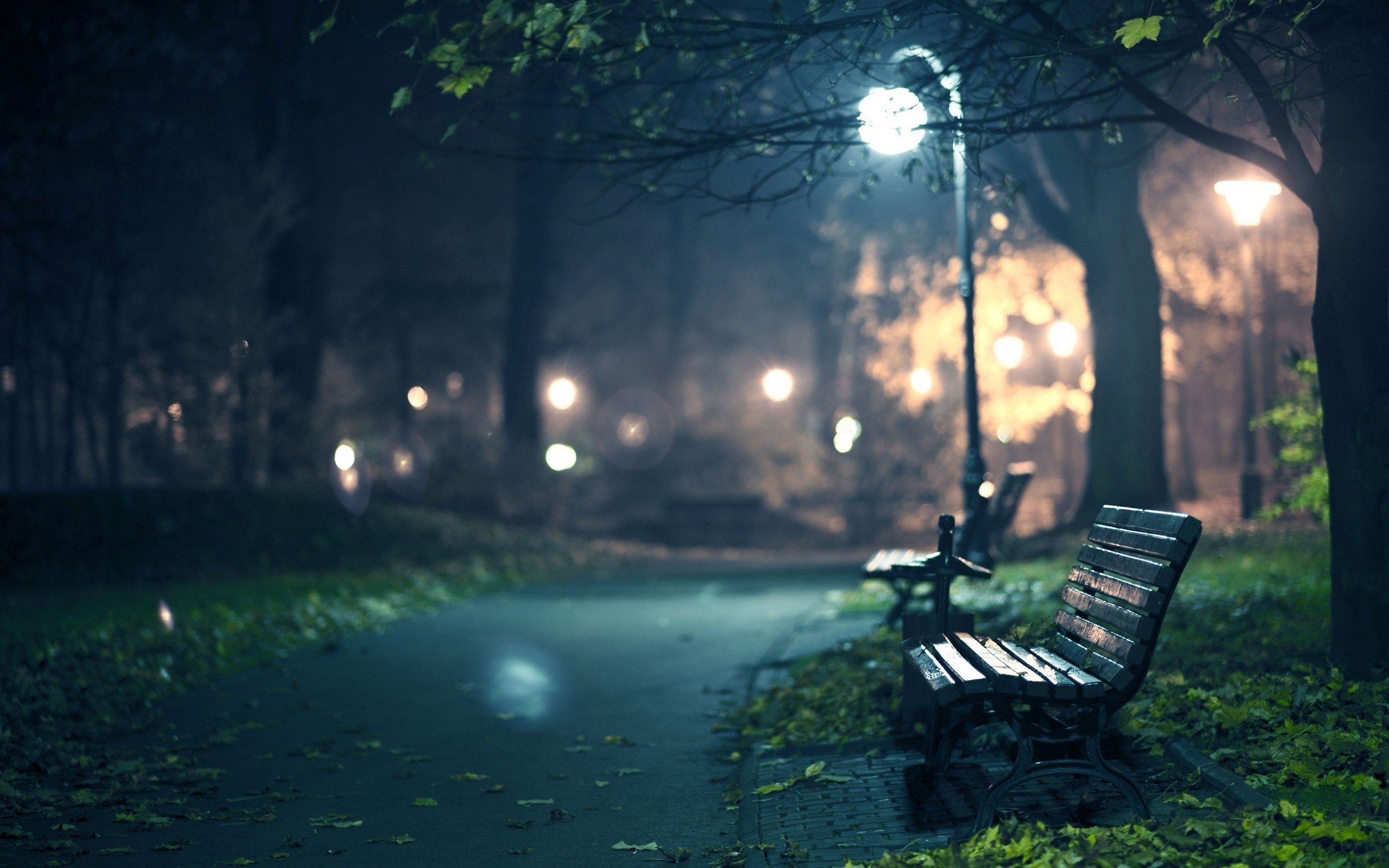 Какие грустные места. Скамейка в парке ночью. Красивый парк ночью. Лавочка в парке ночью. Скамейка в парке вечером.