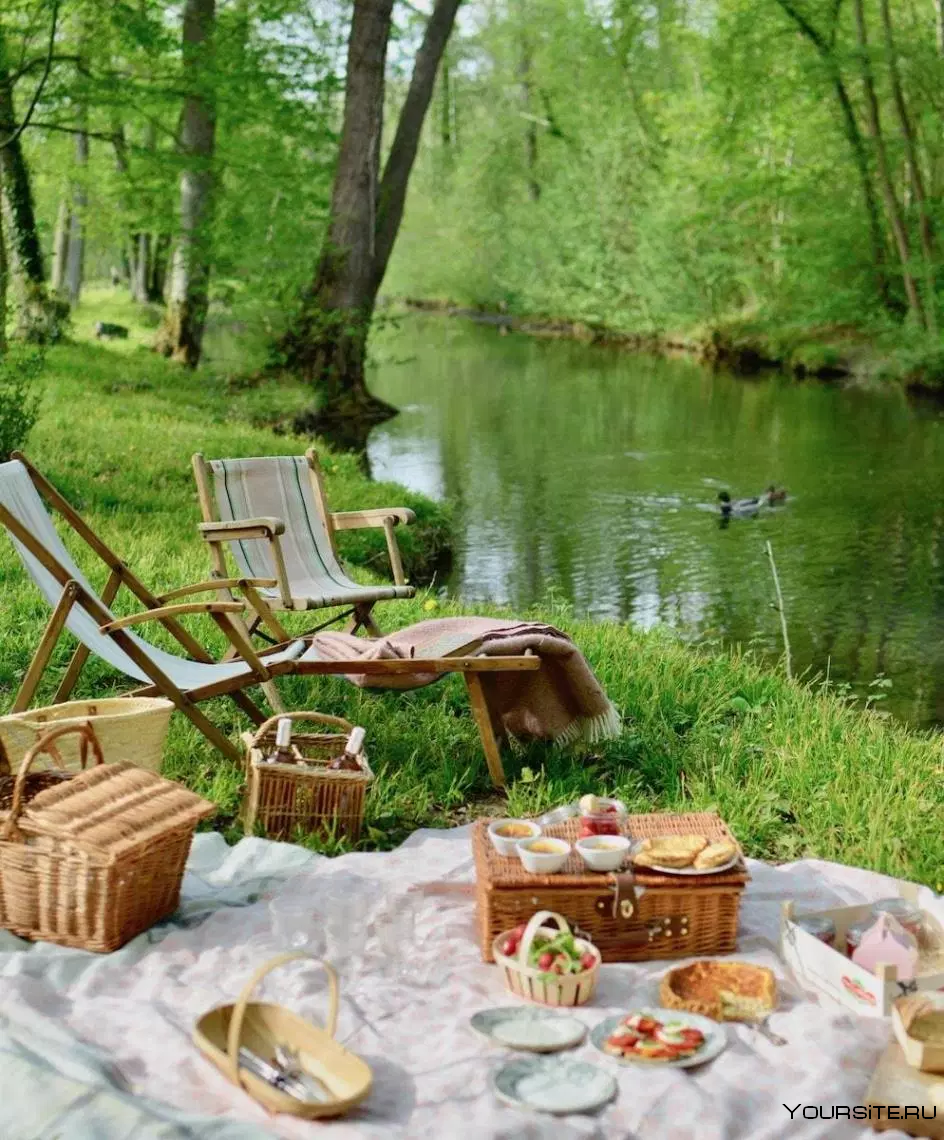 Бесплатные версии пикника. Пикник на природе. Красивые места для пикника. Пикник в лесу. Пикник на речке.