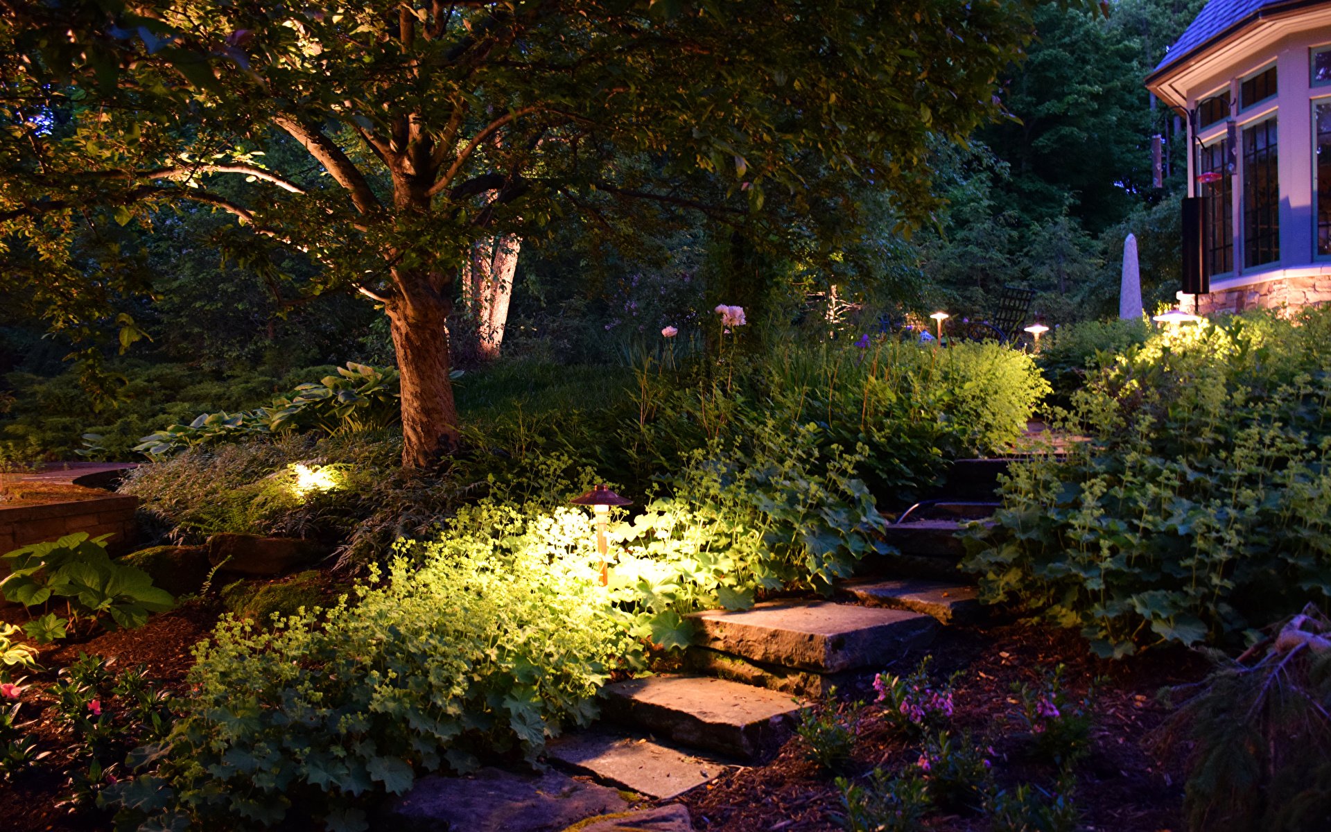 Примыкающий сад. Хорват Полли "ночной сад". Мэтью Чайлдс ландшафтный дизайнер. Красивый сад. Подсветка участка.