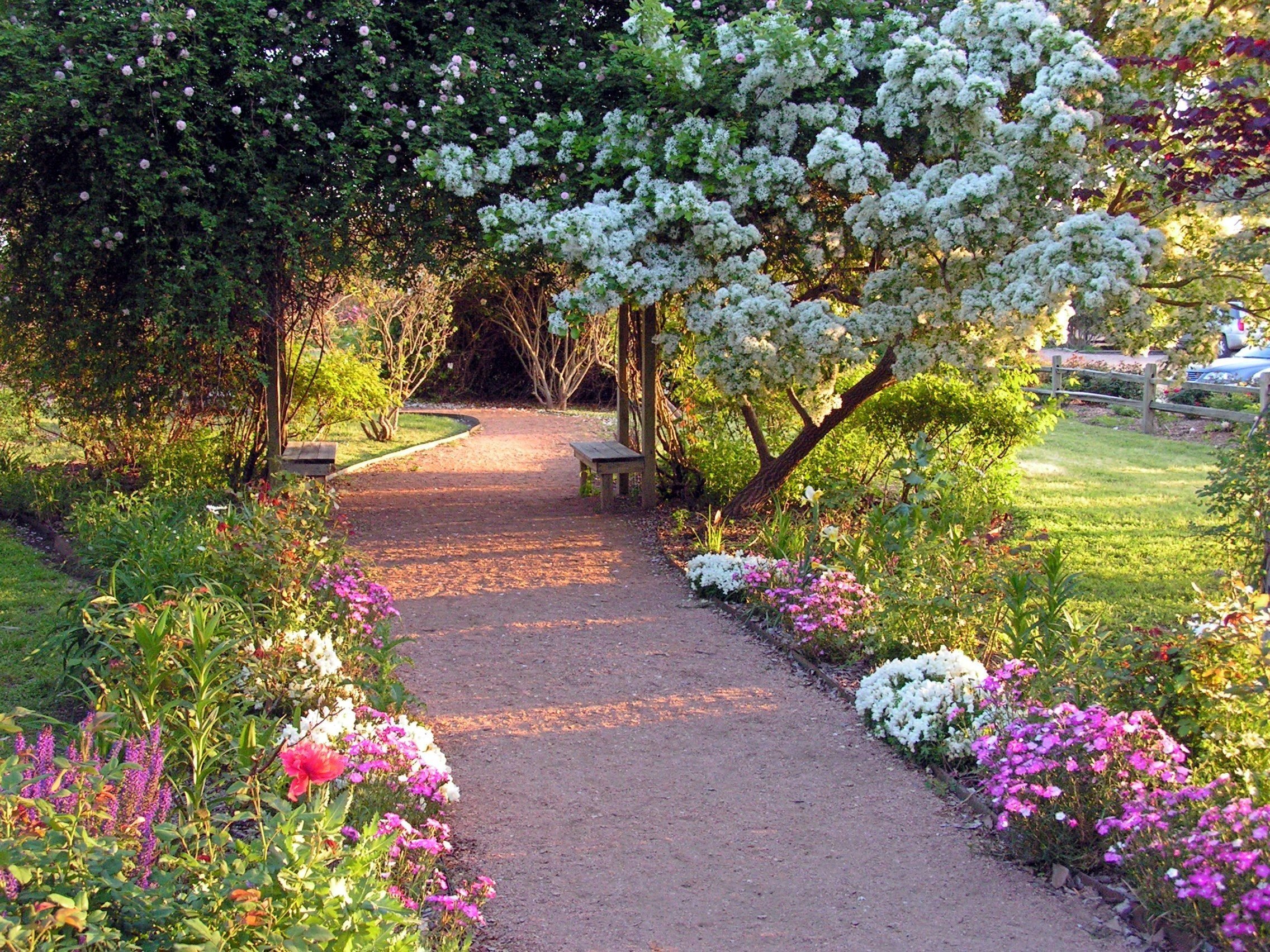 Розарий в Ботаническом саду Москва. Немалоуходная дорожка в саду. Хелен парк+ ландшафт. Тропинка в парке.