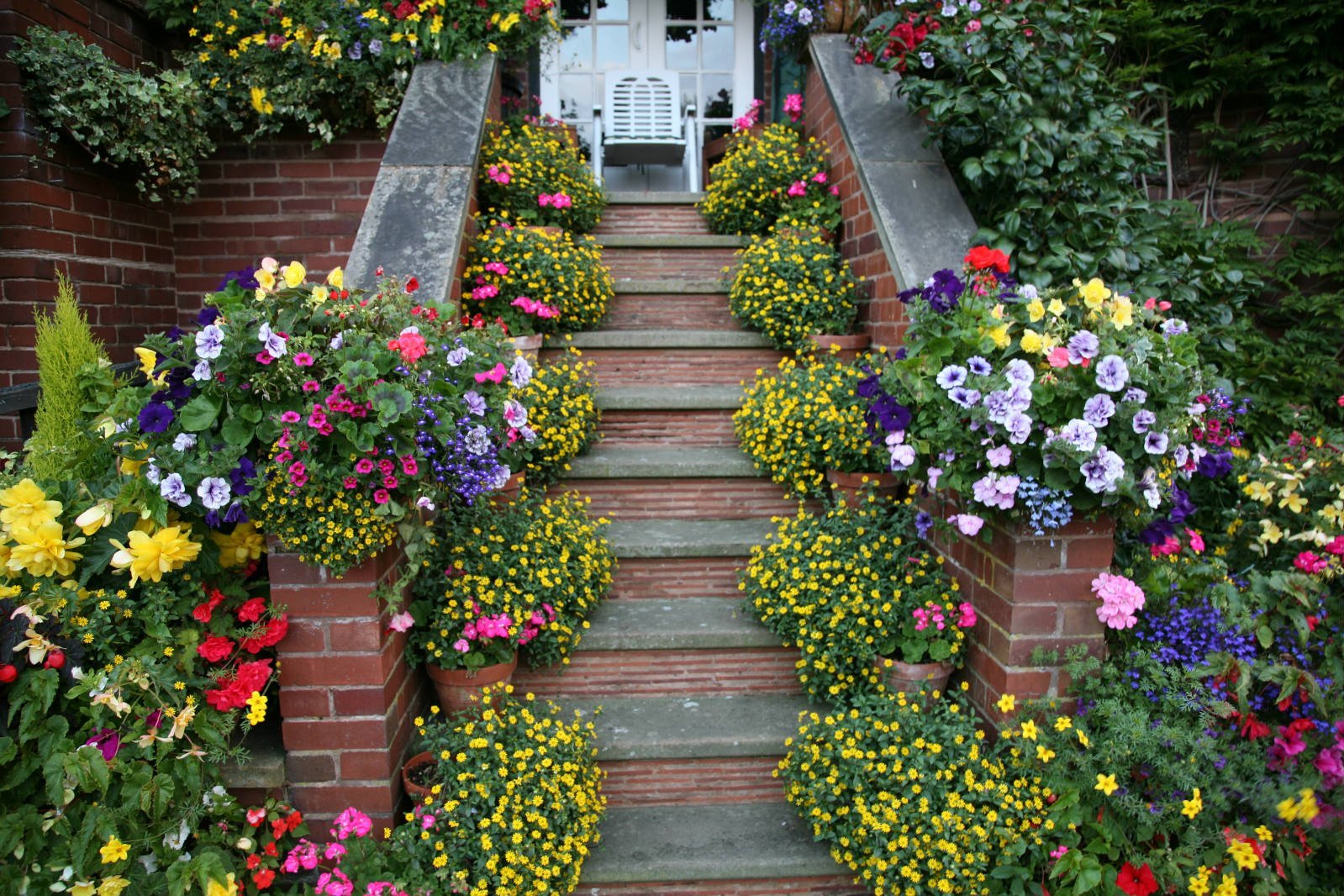 Фото клумбы с цветами возле дома. Цветы в саду. Клумба на лестнице. Клумба ступеньками. Клумбы в саду.