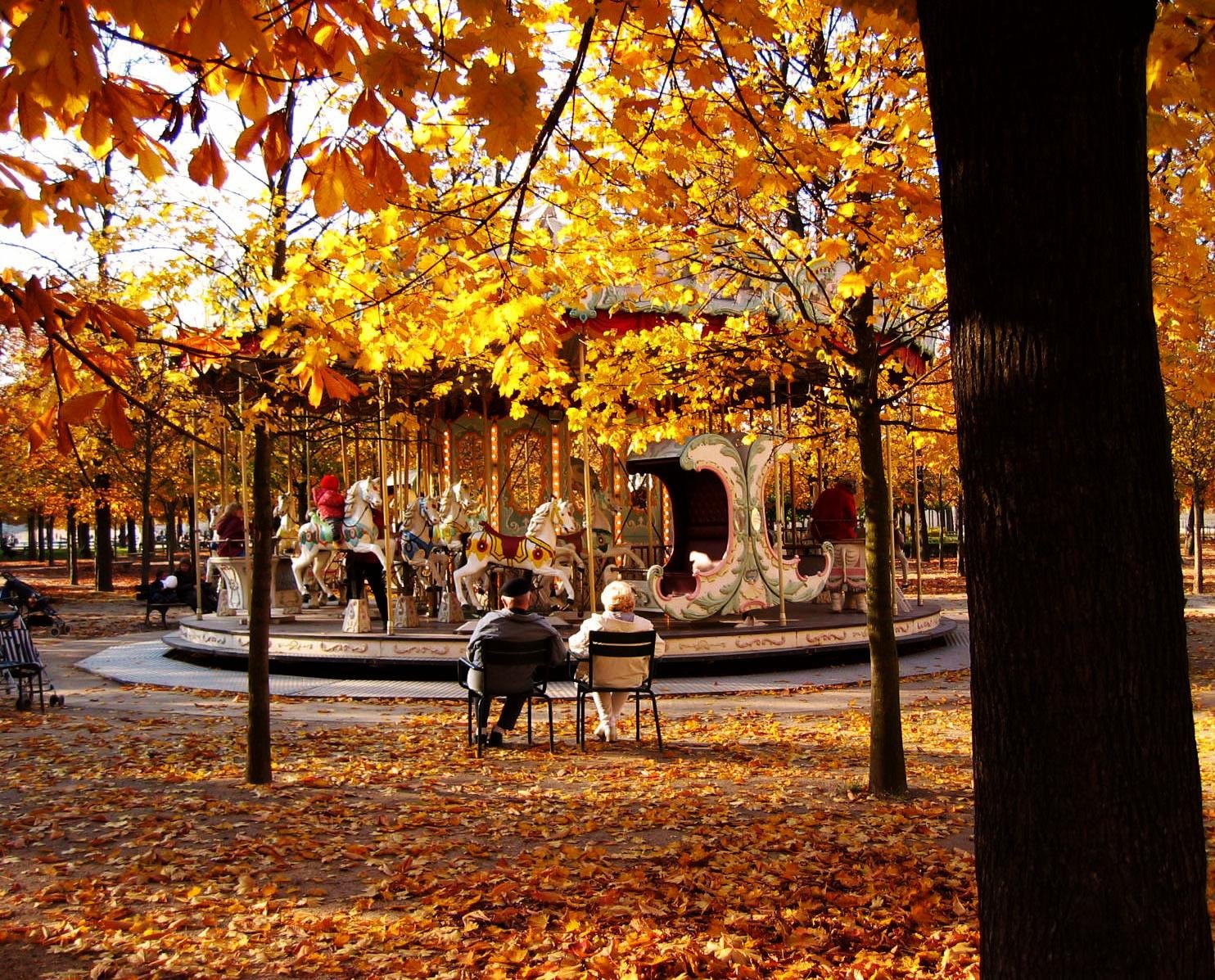 Городское 6 октября. Осень в городе. Осенний парк. Осень в парке. Осень в Париже.