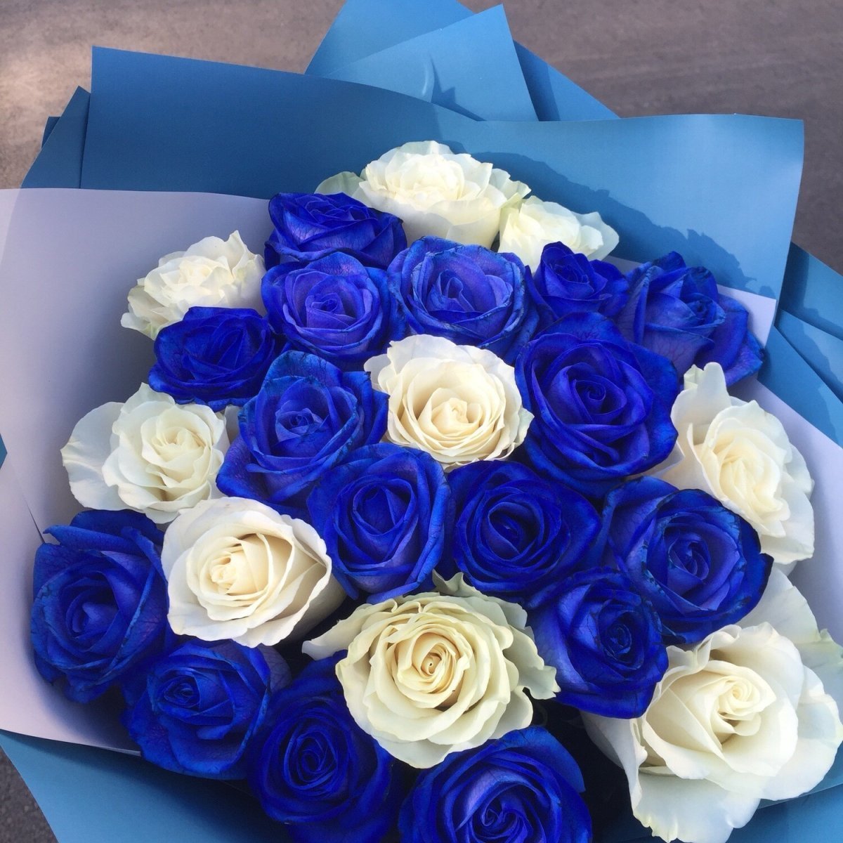 Открытки синего цвета. Эквадорские синие розы. Букет синих роз "сапфир". Голубые розы букет.