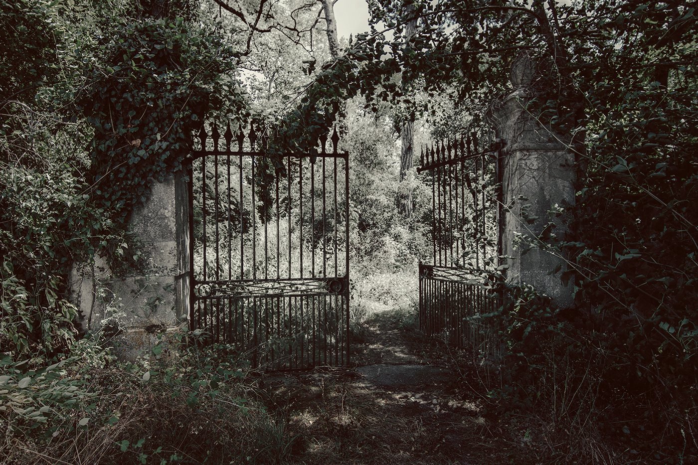 Ужасные сад. "Заброшенный сад" Рауль. "Заброшенный сад" 1913. Старый заброшенный сад. Запущенный сад.