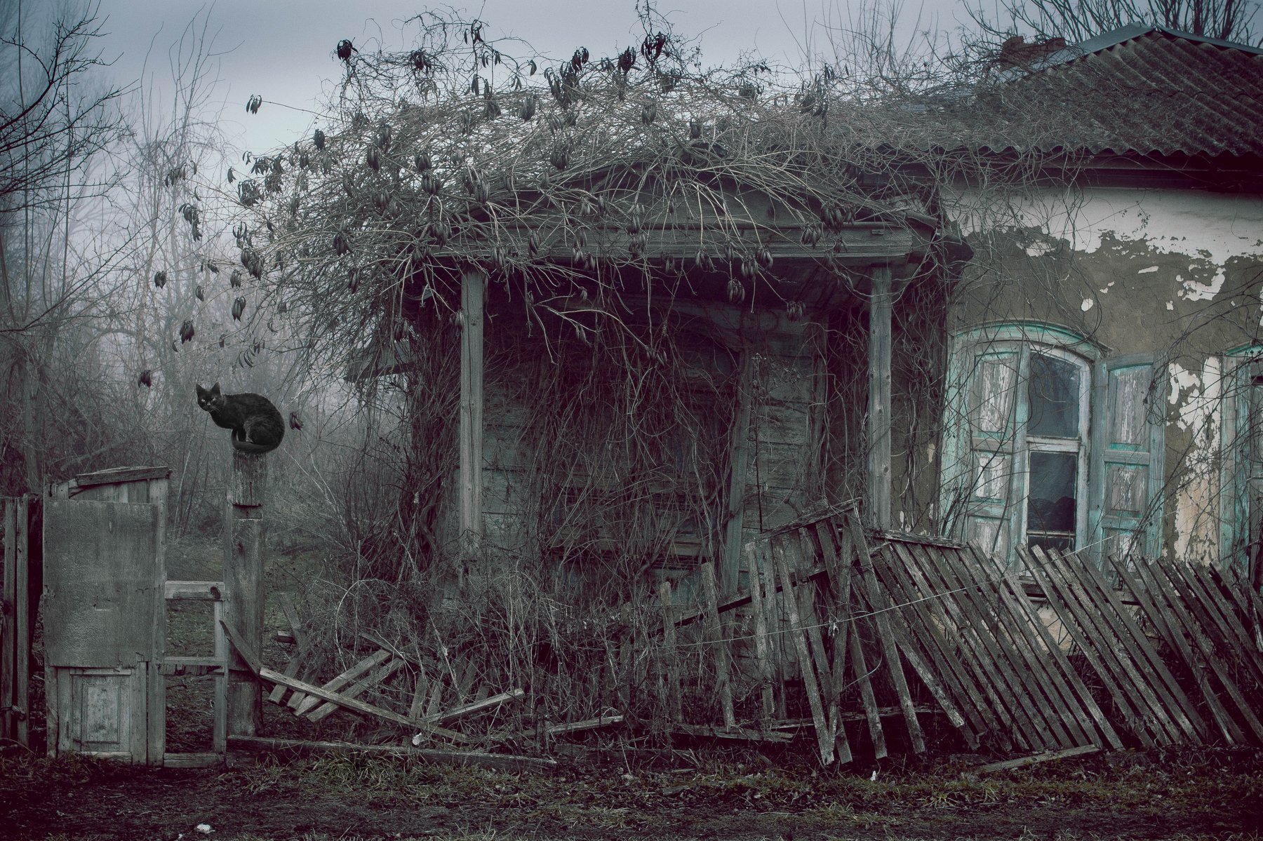 Старый домик стоял на самом. Страшный дом в деревне. Жуткая деревня. Заброшенный дом в деревне. Заброшенные дома в деревнях.