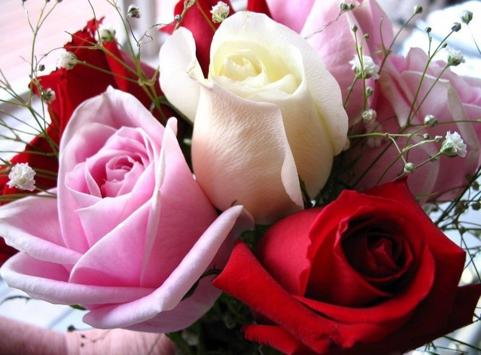 Открытки с цветами. Шикарные цветы. Красивой женщине красивые цветы. С днем рождения розы.