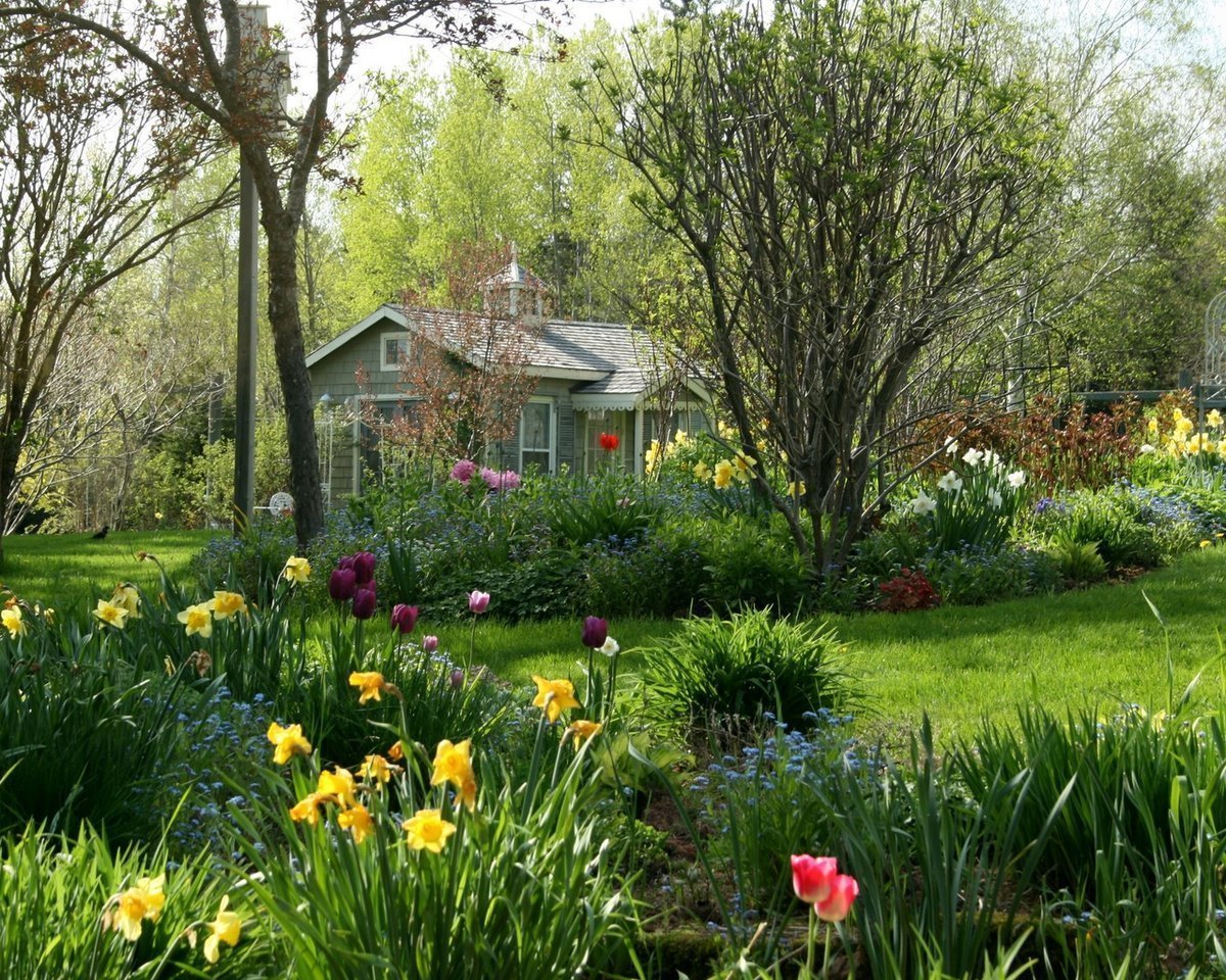 Айкен Хаус и Гарден. Сад Каролин Айкен. Канада. Весенние цветущие усадебные сады Англии. Весенний сад (Spring Topiary Garden). Работают ли сады летом