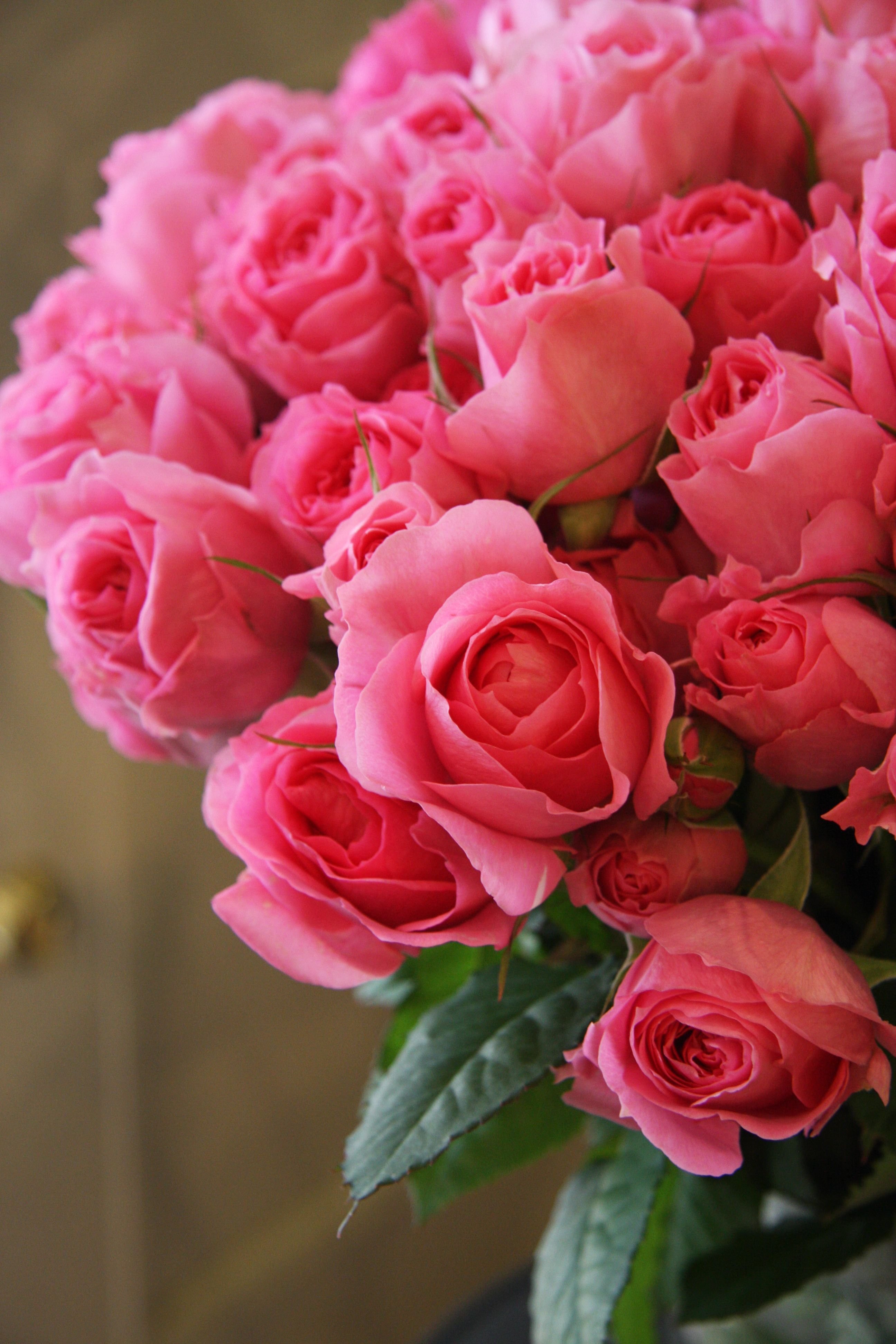 Открытка с днем розовой. Красивый букет. Букет шикарный. Роскошные цветы. Розовые розы.