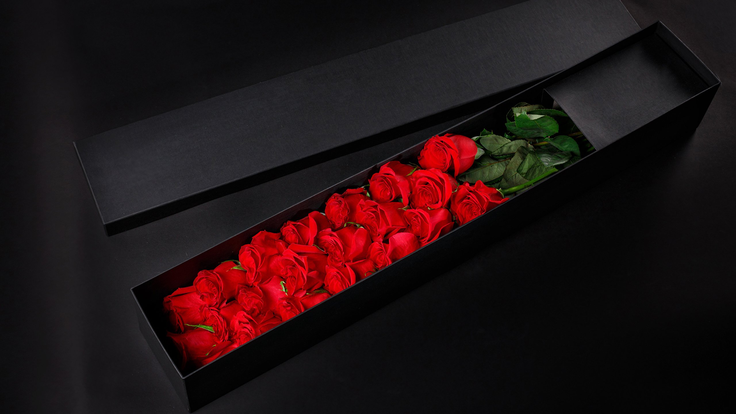 Розы в коробке. Цветы в черной коробке. Подарочная коробка черная. Коробки с цветами.