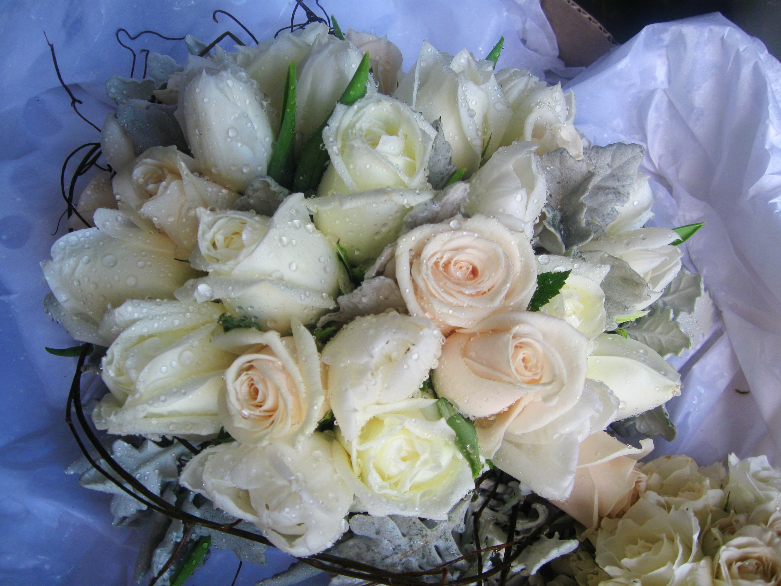 Сон белые розы букет. Букет белых роз. Красивый букет белых роз. Шикарный букет белых роз. Красивый букет из белых роз.