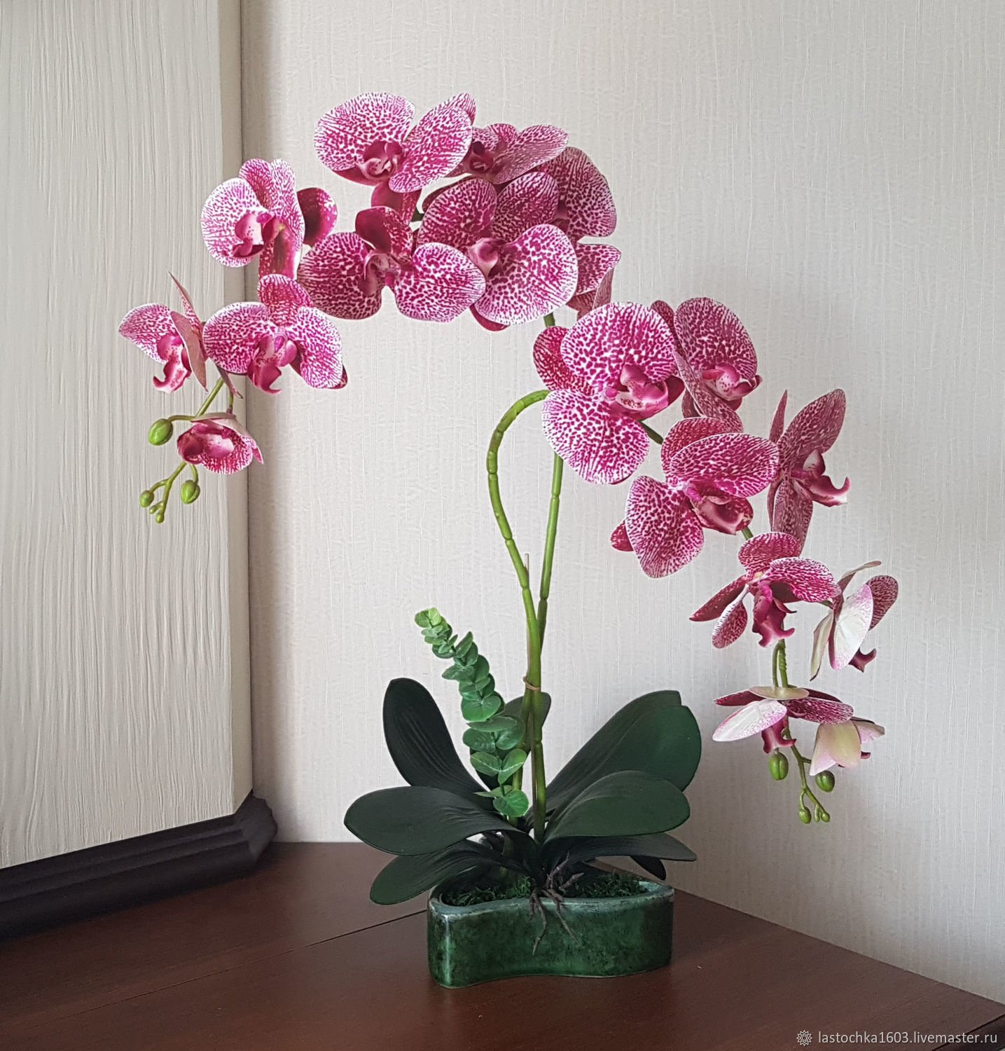Купить орхидею в саратове. Орхидея фаленопсис. Anastasia фаленопсис. Орхидея фаленопсис Anastasia. Фаленопсис Nile.