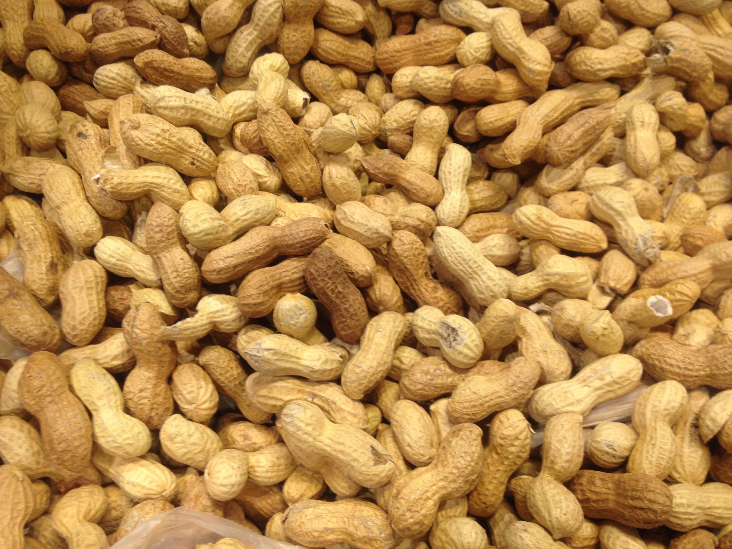 Земляной орех арахис. Арахис Peanuts. Китайский арахис. Арахисовые орешки.