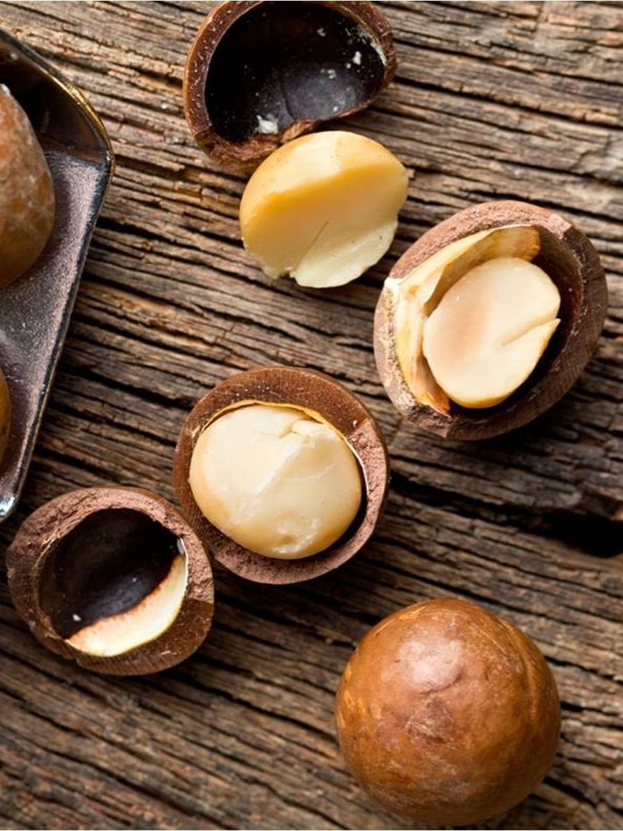 Макадамия орех свойства для мужчин. Макадамия плод. Орешки макадамия. Макадамия дерево. Макадамия в скорлупе.