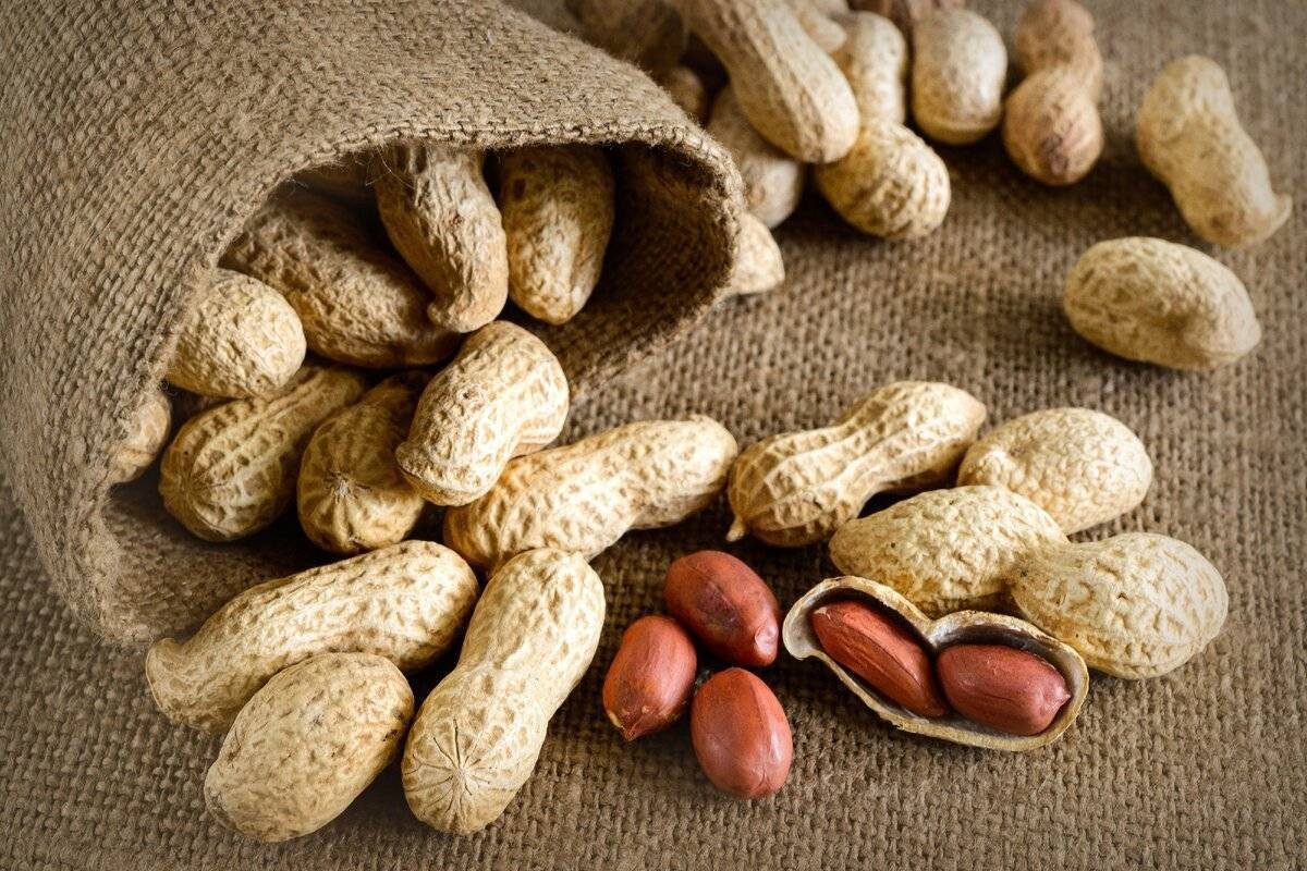 Земляной орех арахис. Арахис Peanuts. Арахис культурный Земляной орех. Арахис неочищенный. Арахис это не орех