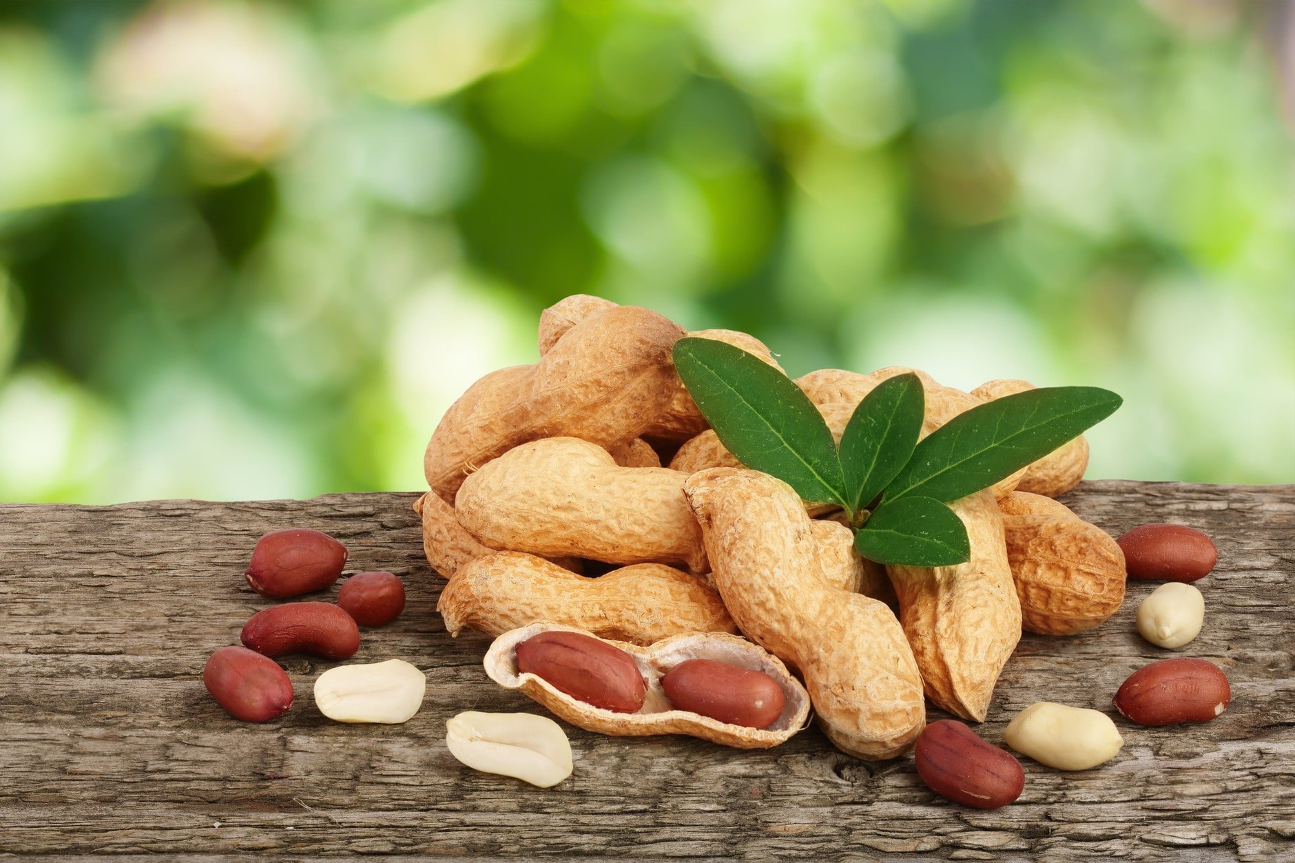 Арахис при сахарном диабете. Арахис. Орешки арахис. Ядро арахиса. Арахис красиво.