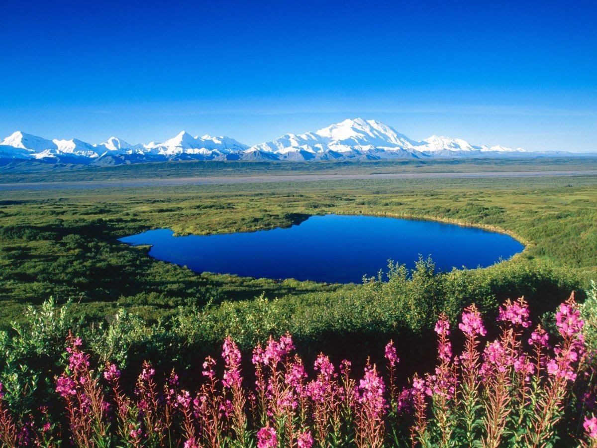 Национальный парк Денали, штат Аляска. Заповедник Денали на Аляске. Национальный парк Денали озеро.