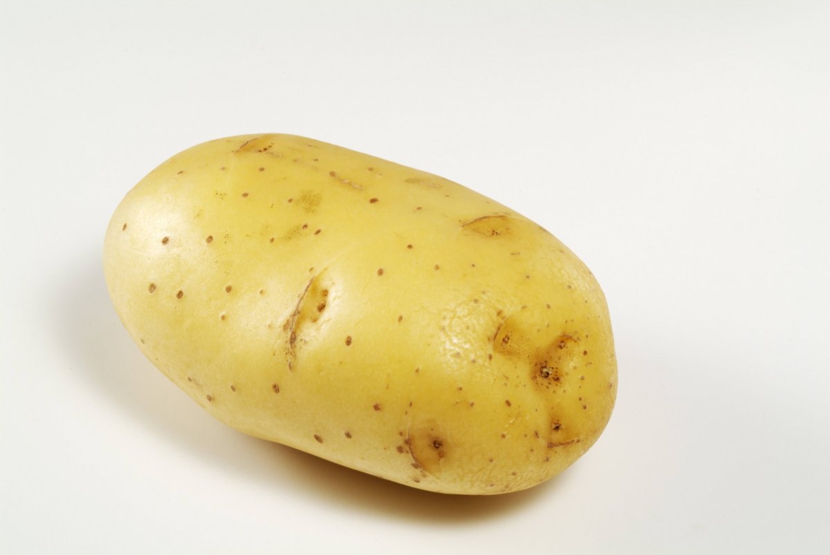Потейто Потато. Картошка с овощами. Картошка одна. Картофель на белом фоне. Potatoes picture